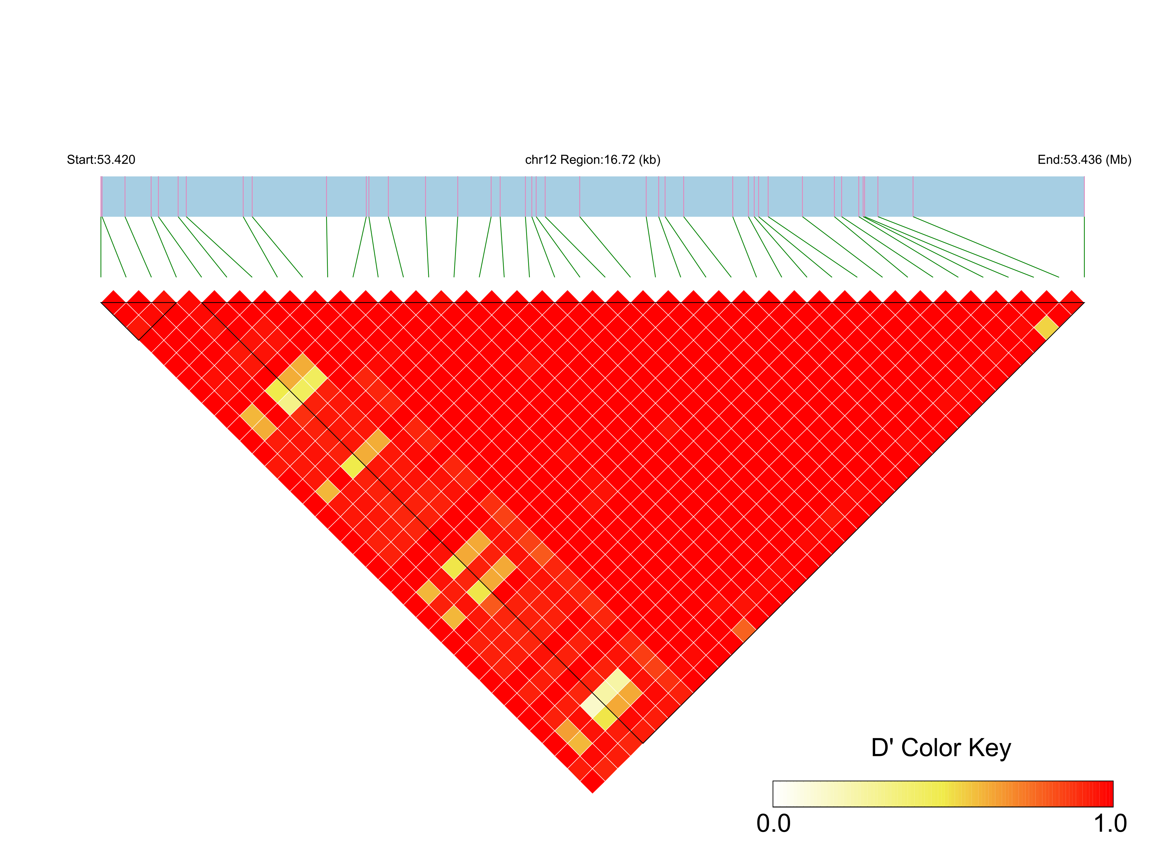LD