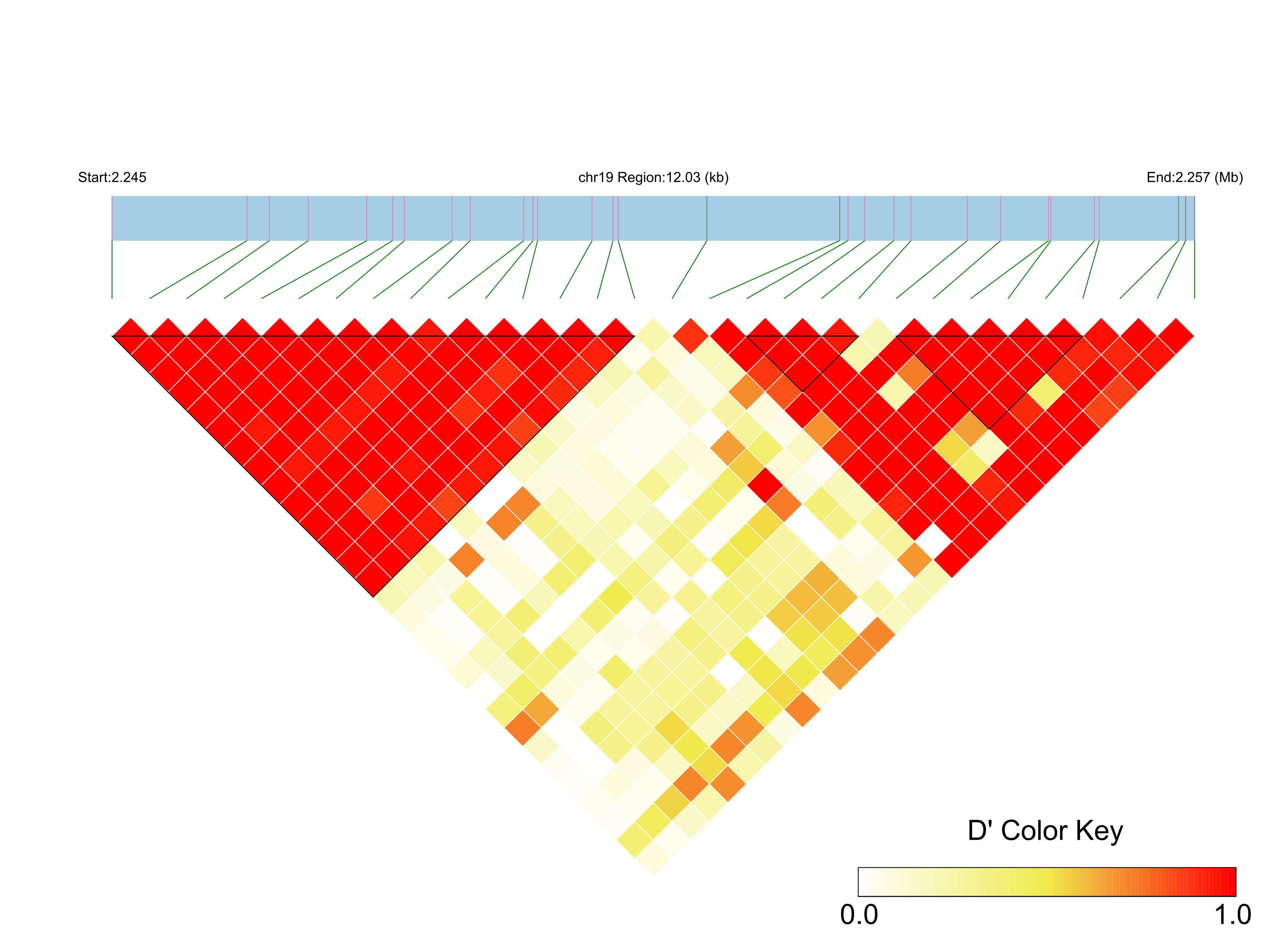 LD