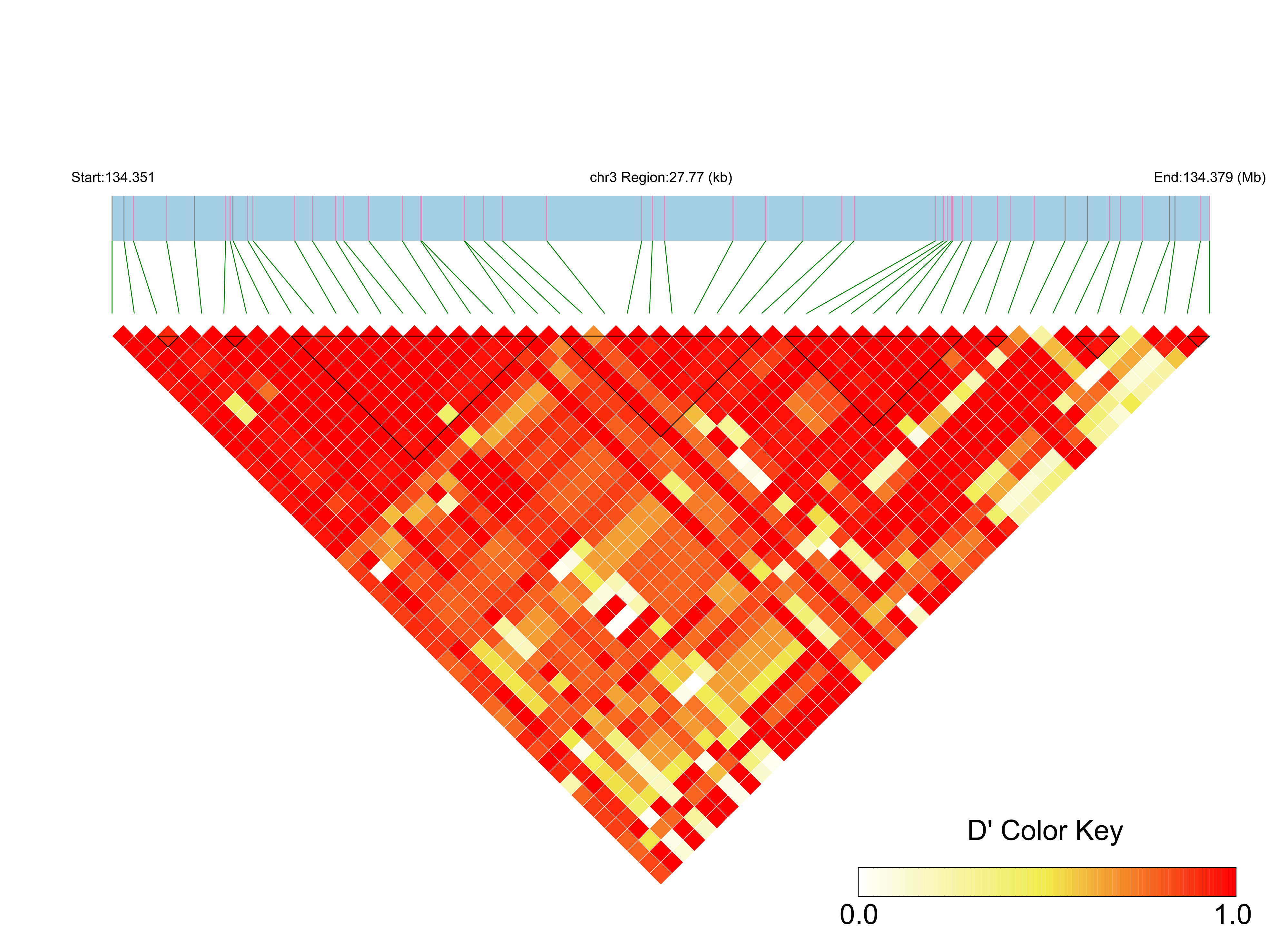 LD