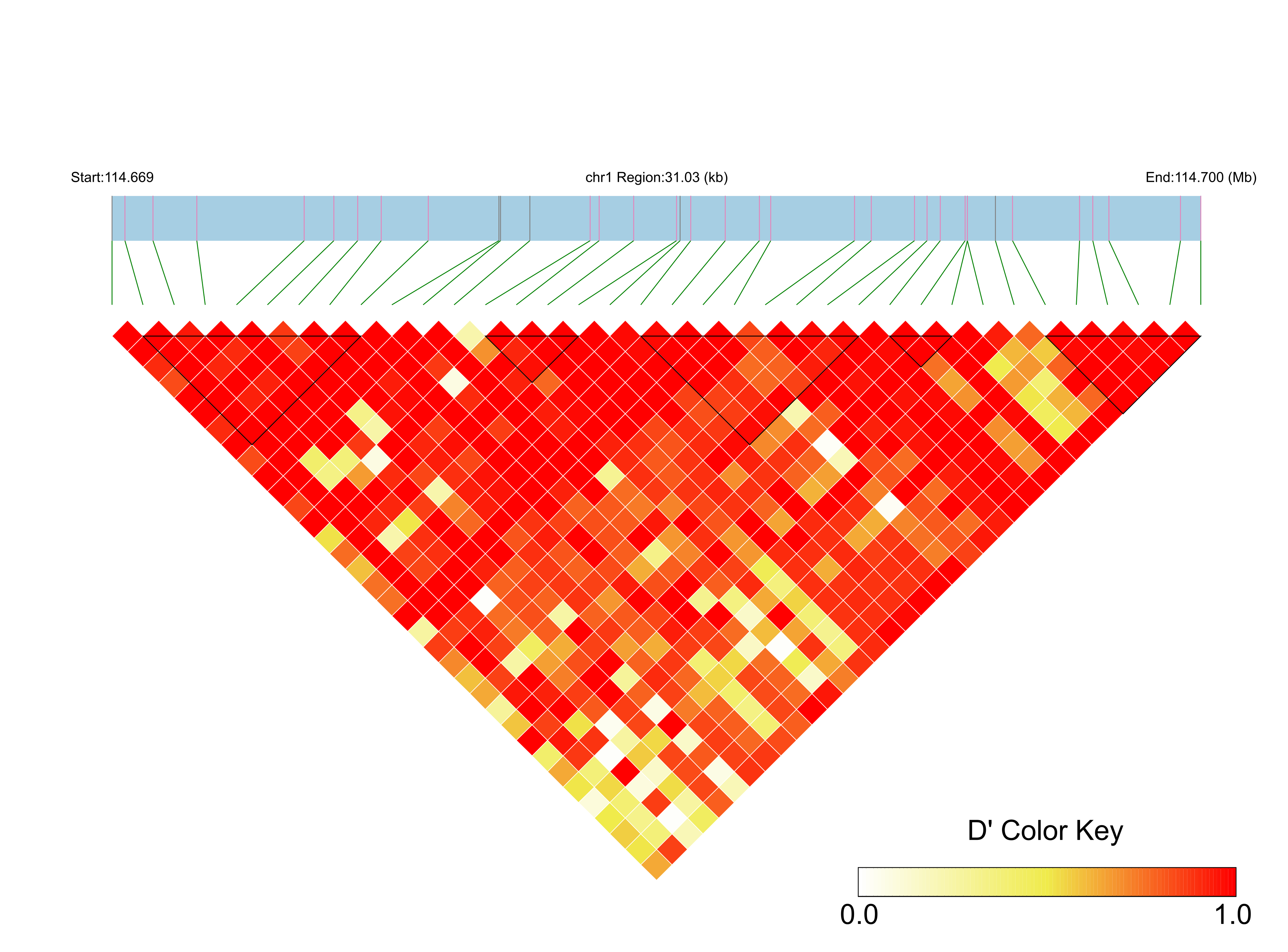 LD