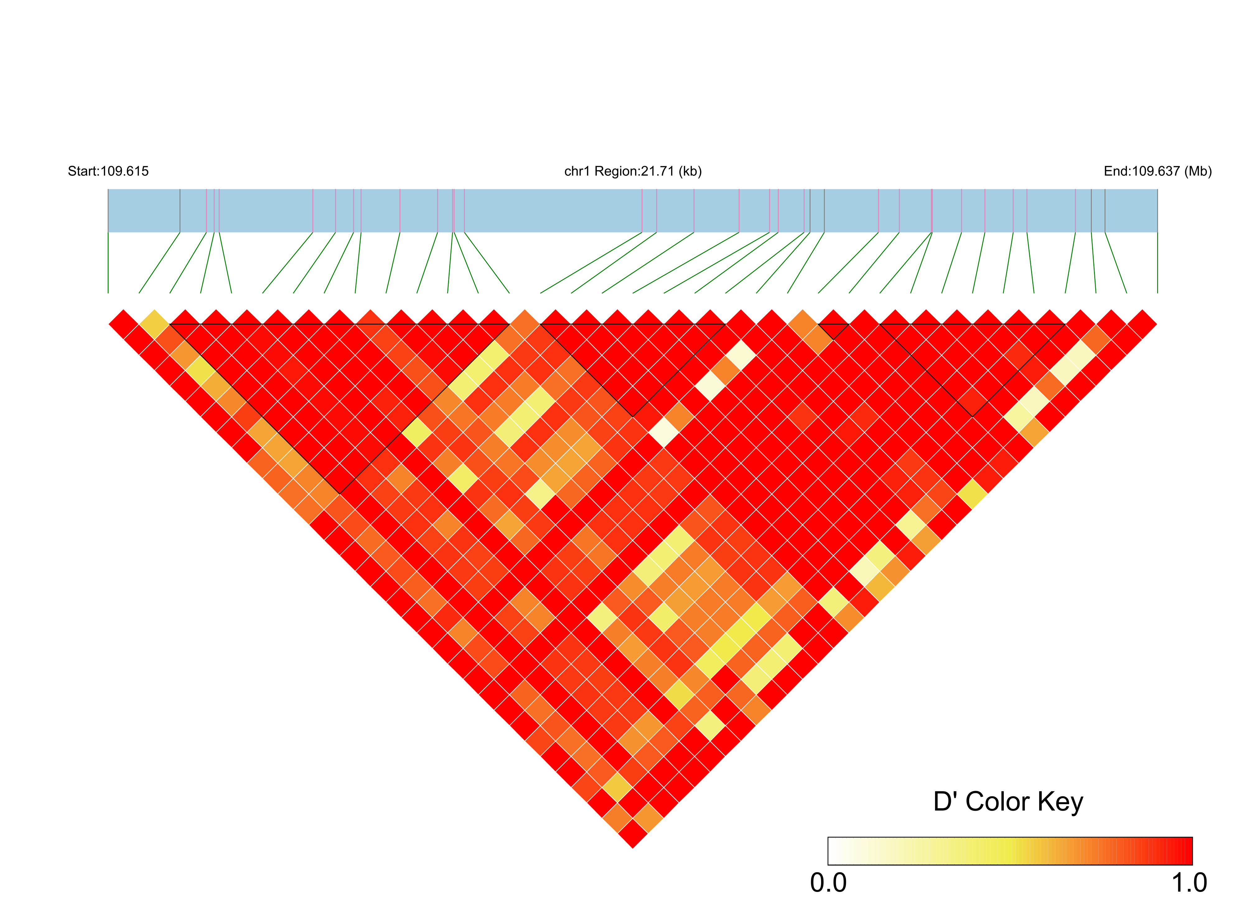 LD