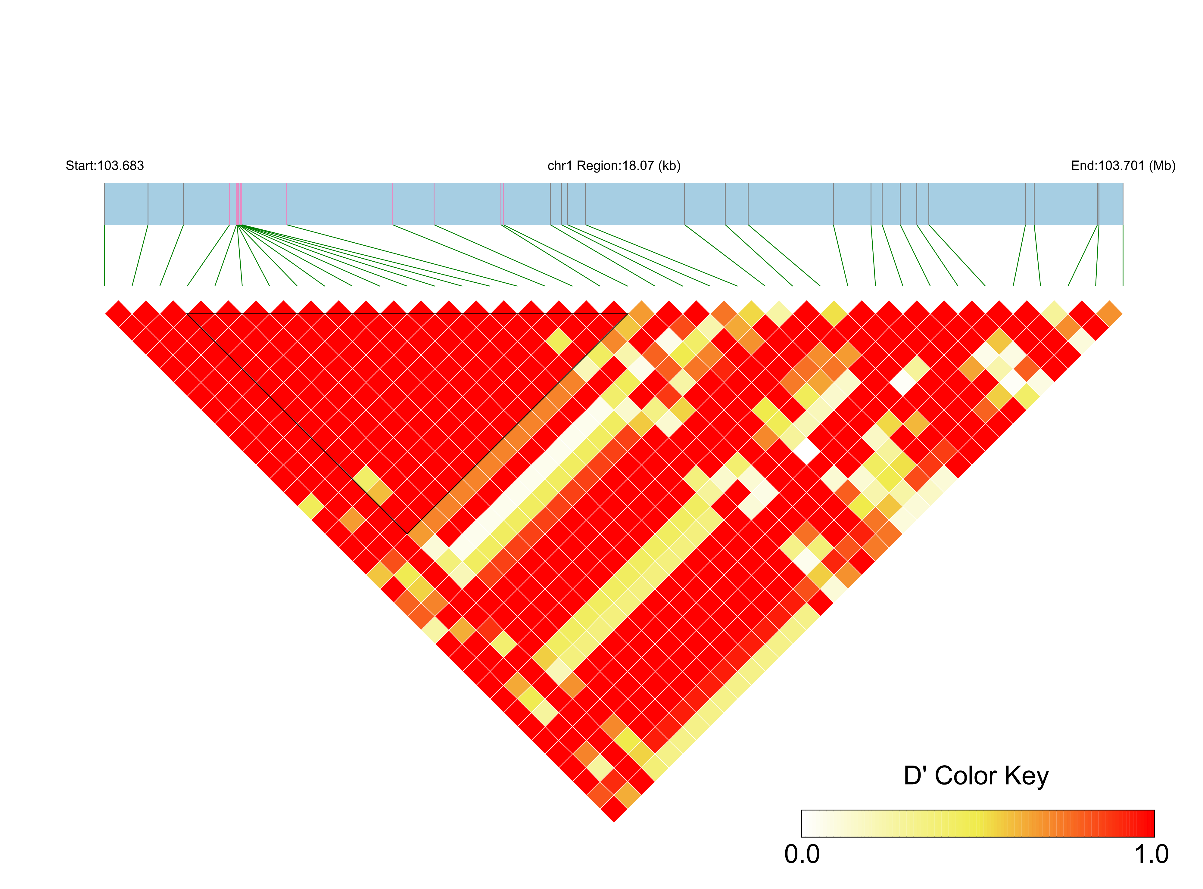 LD