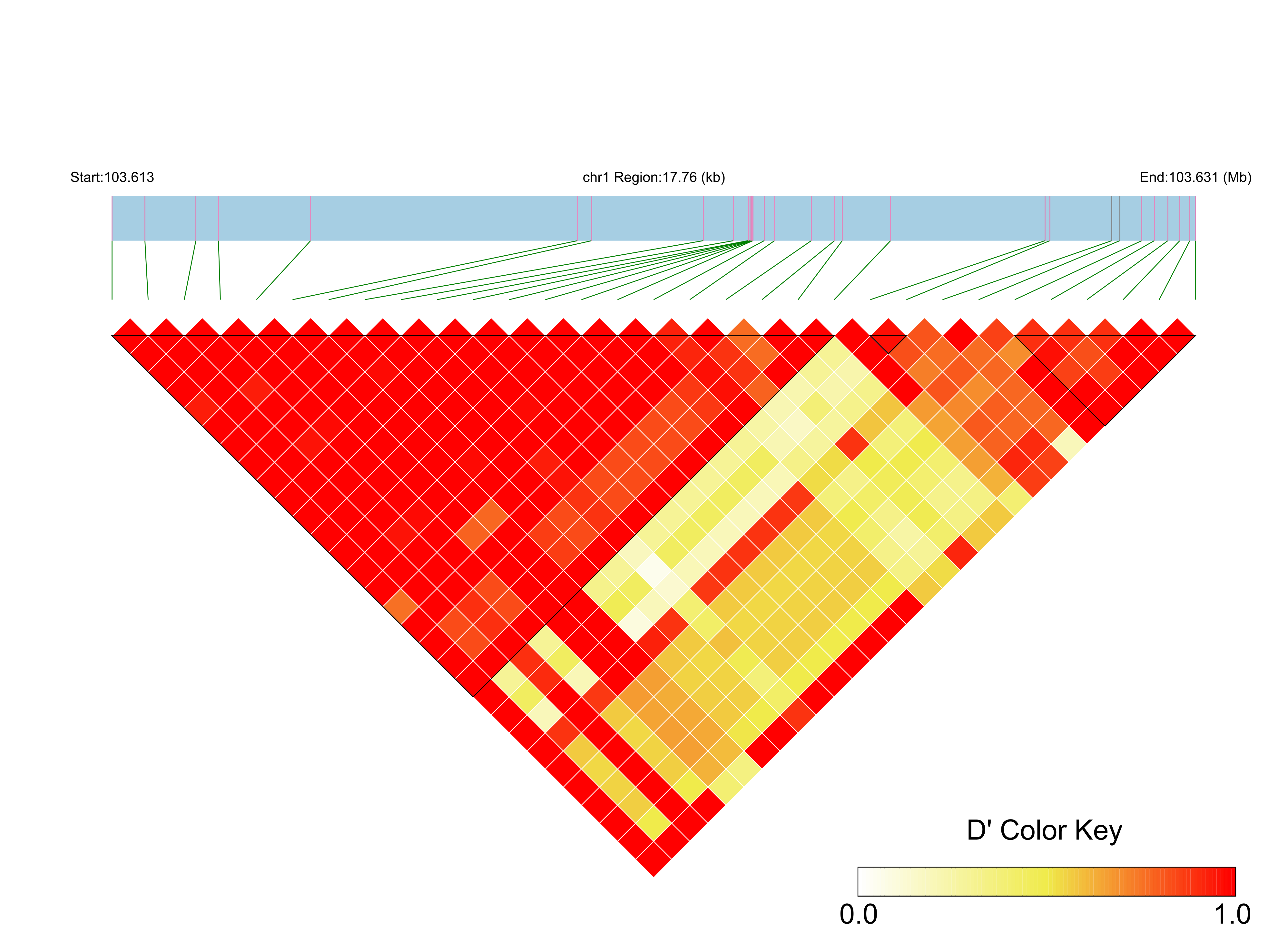 LD