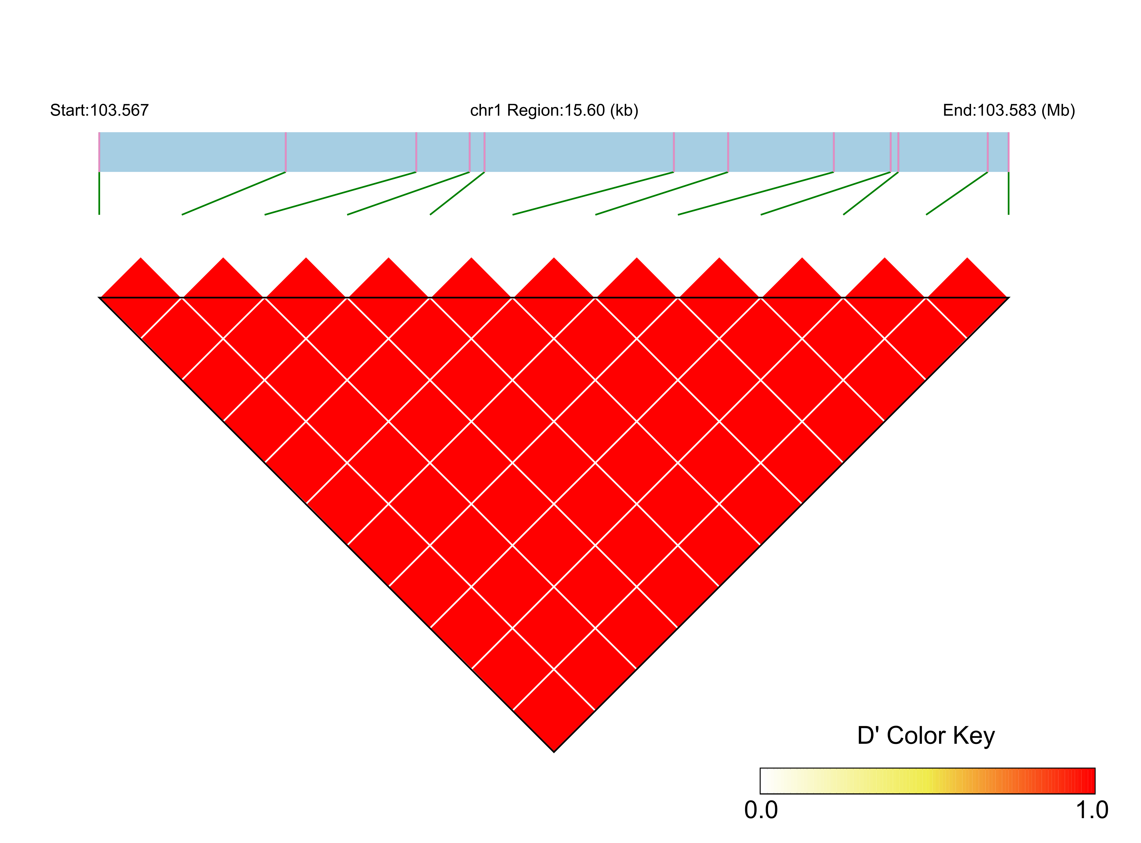 LD