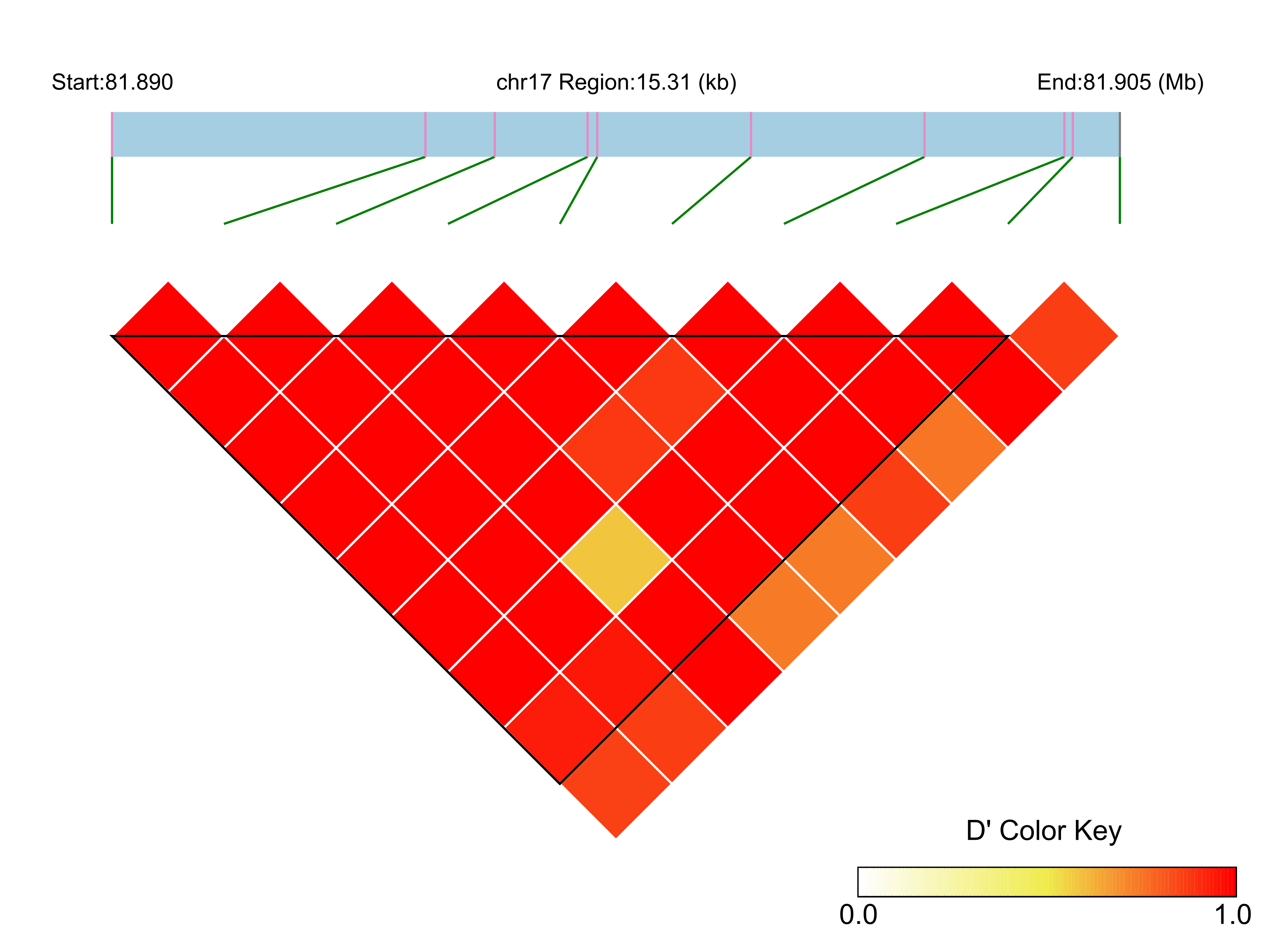 LD