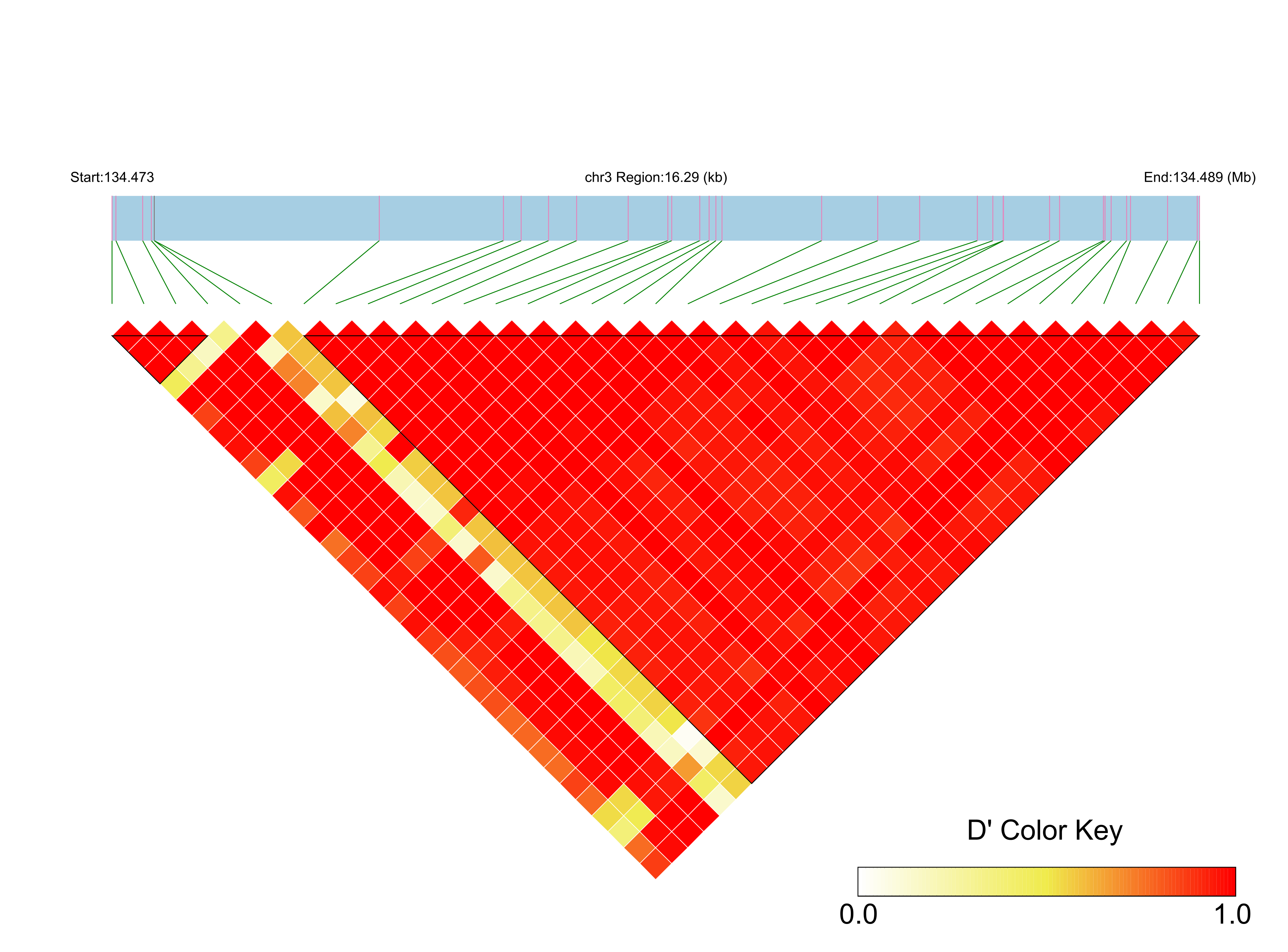 LD