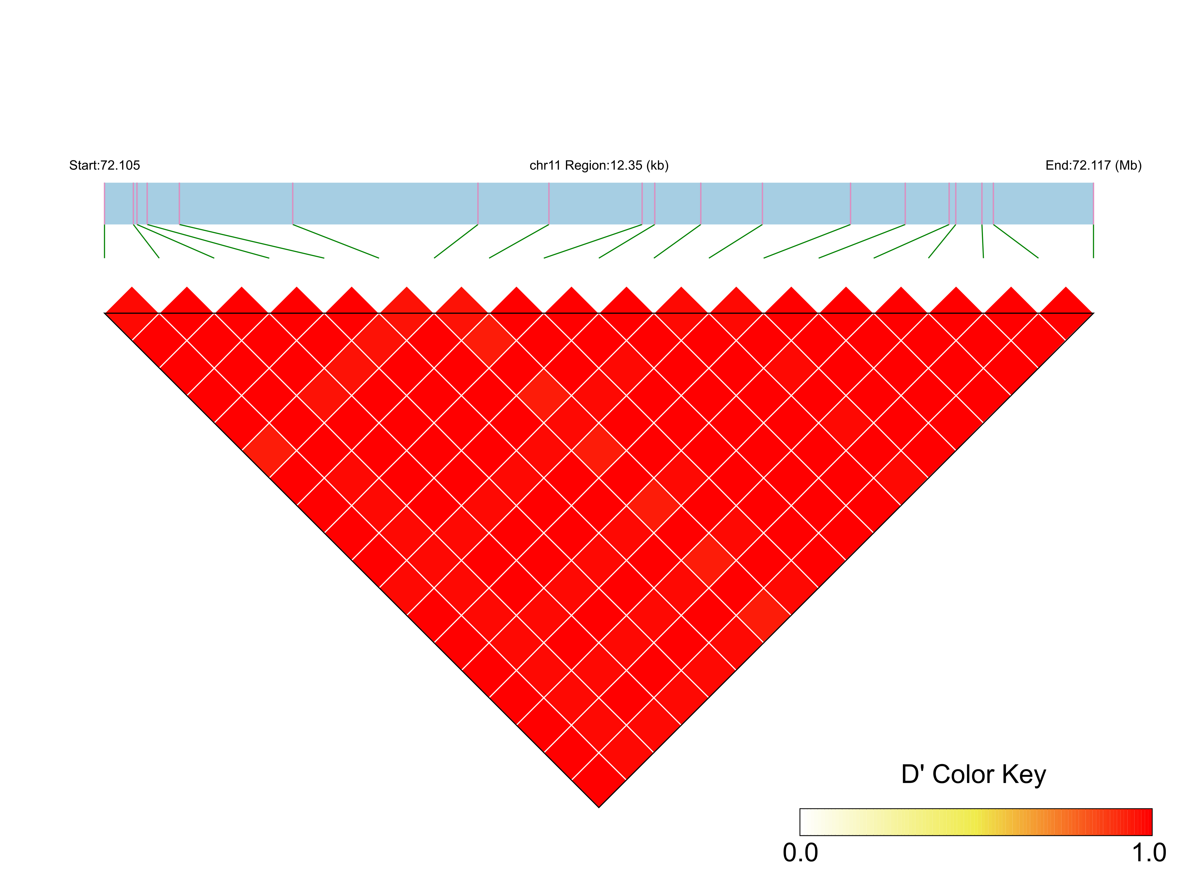 LD
