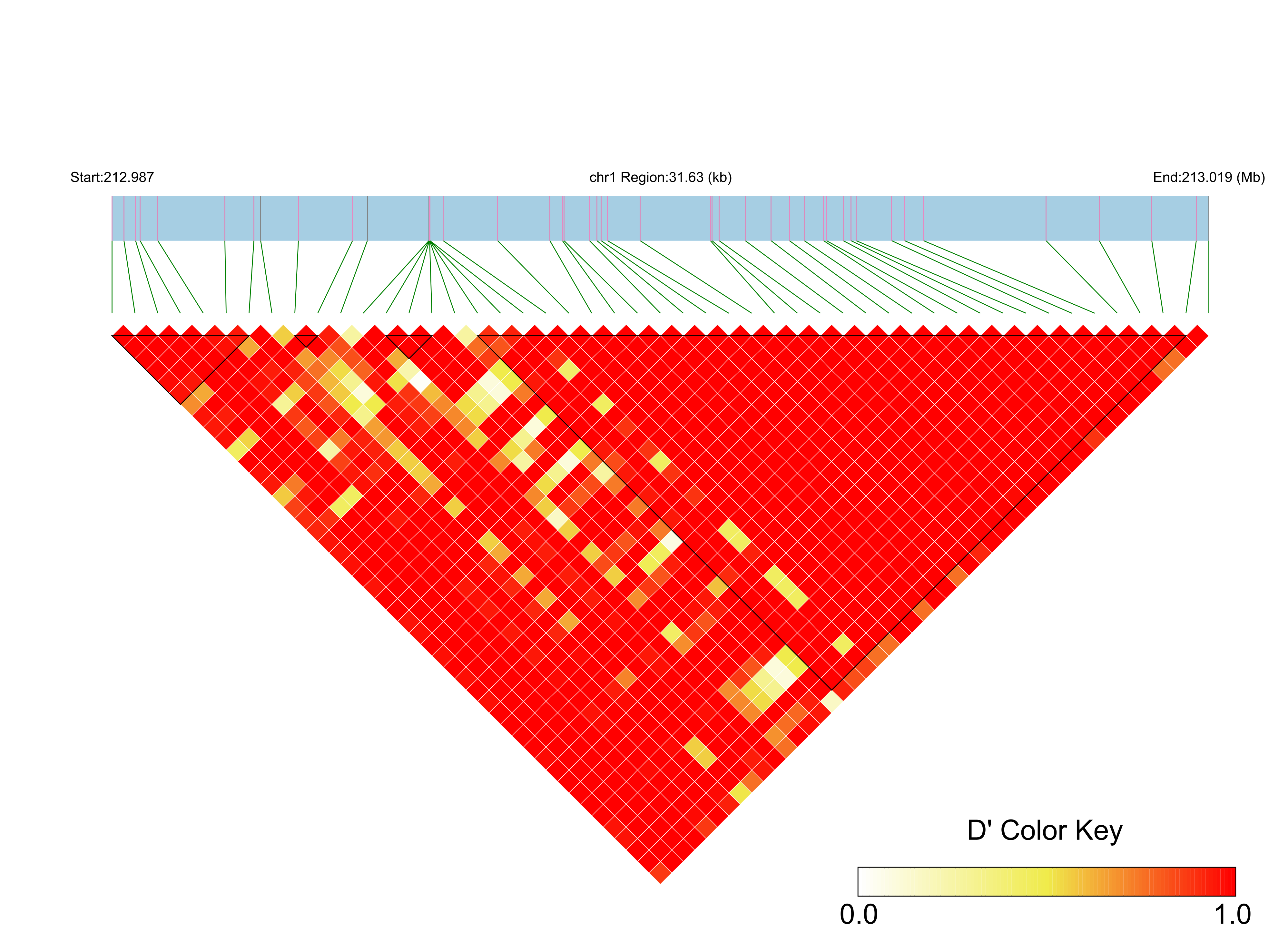 LD