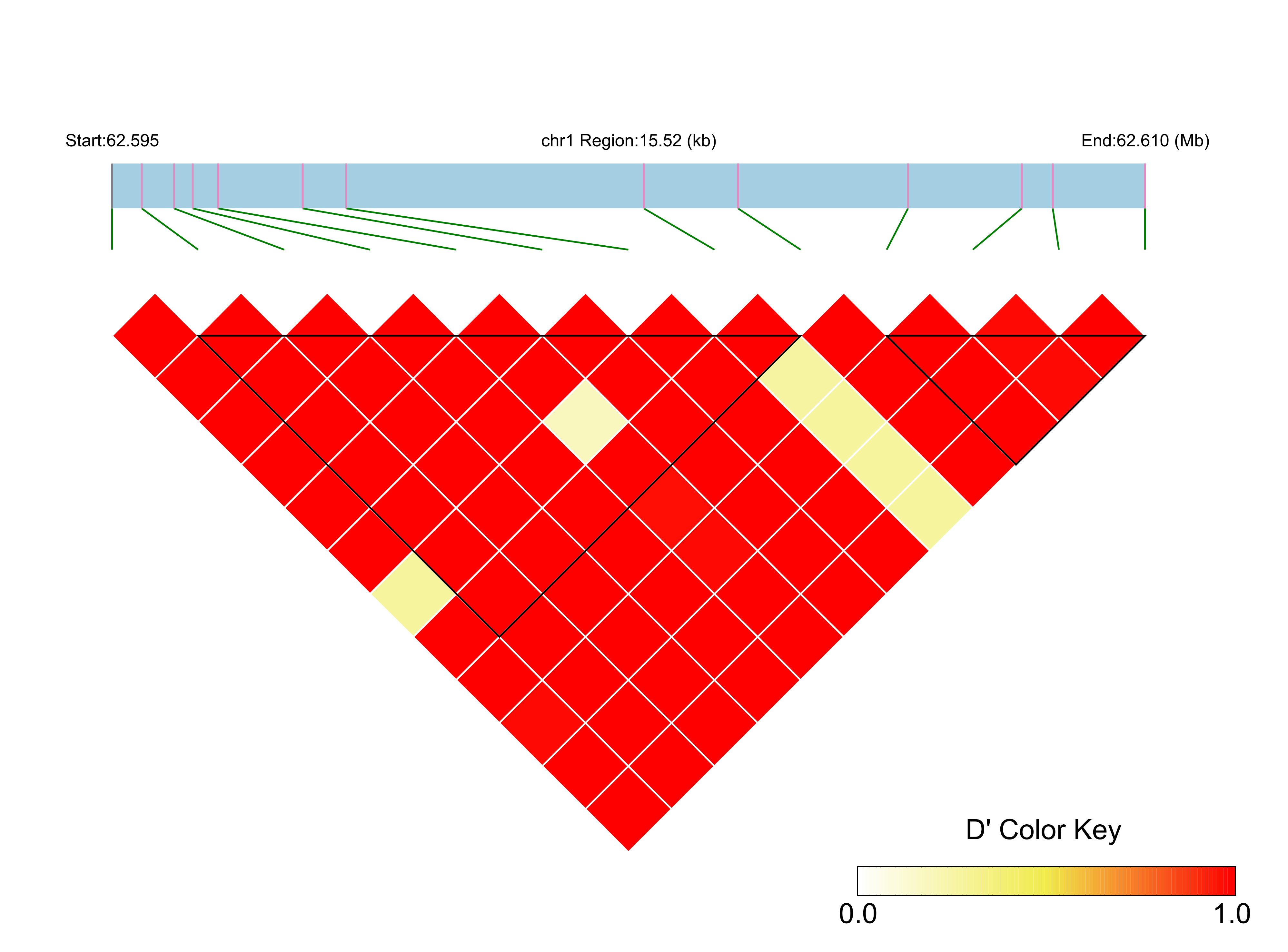 LD