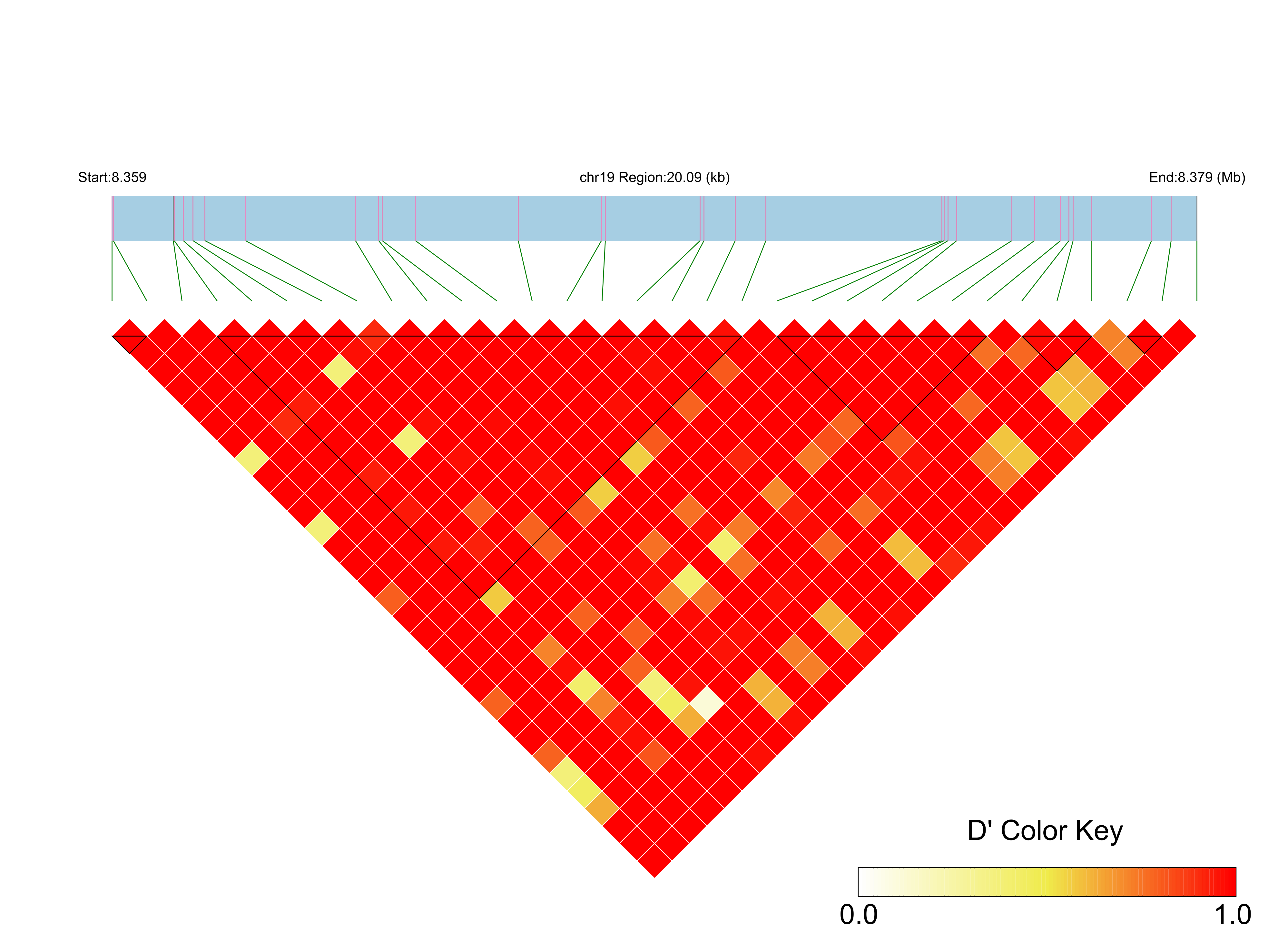 LD