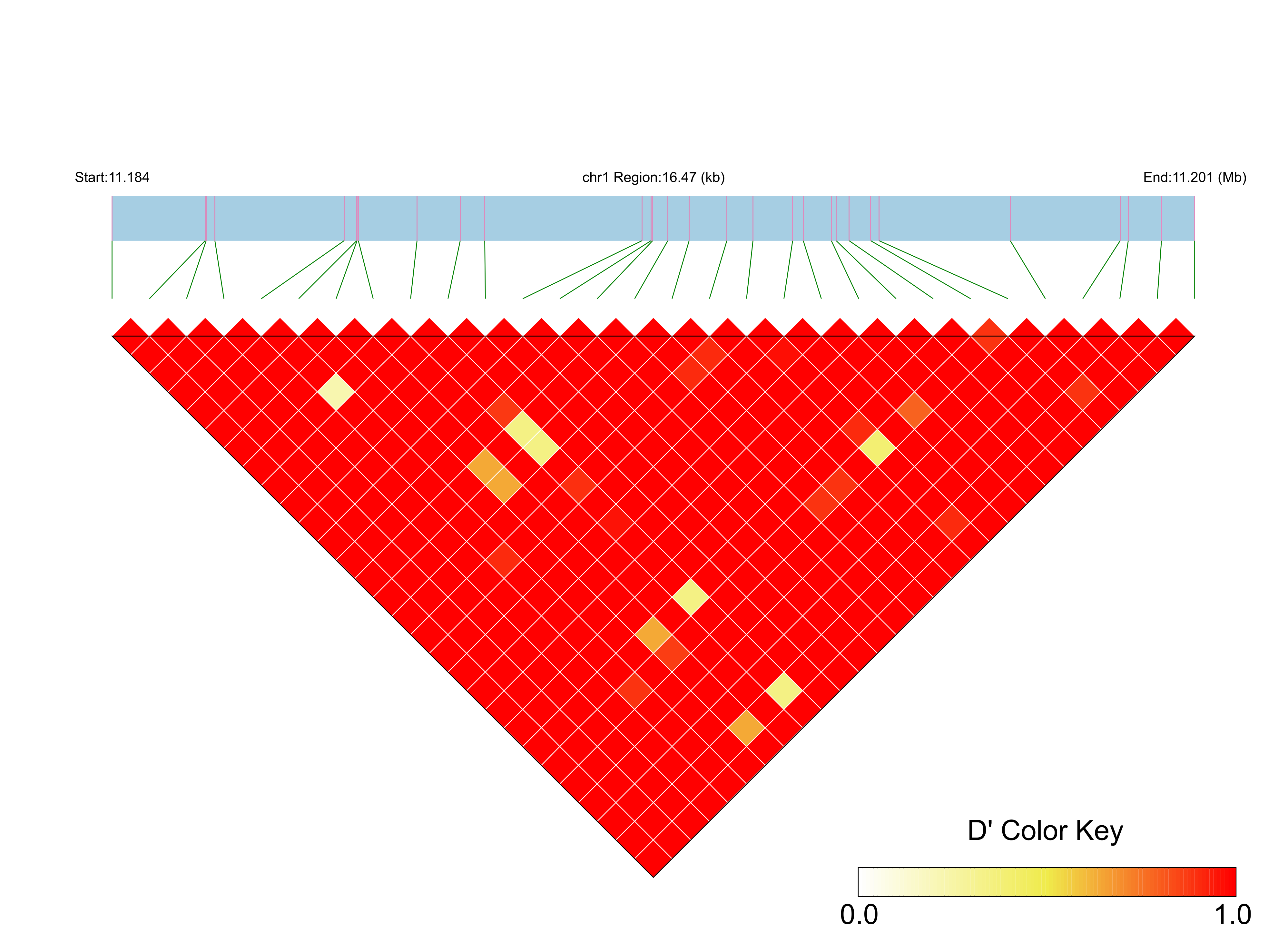 LD