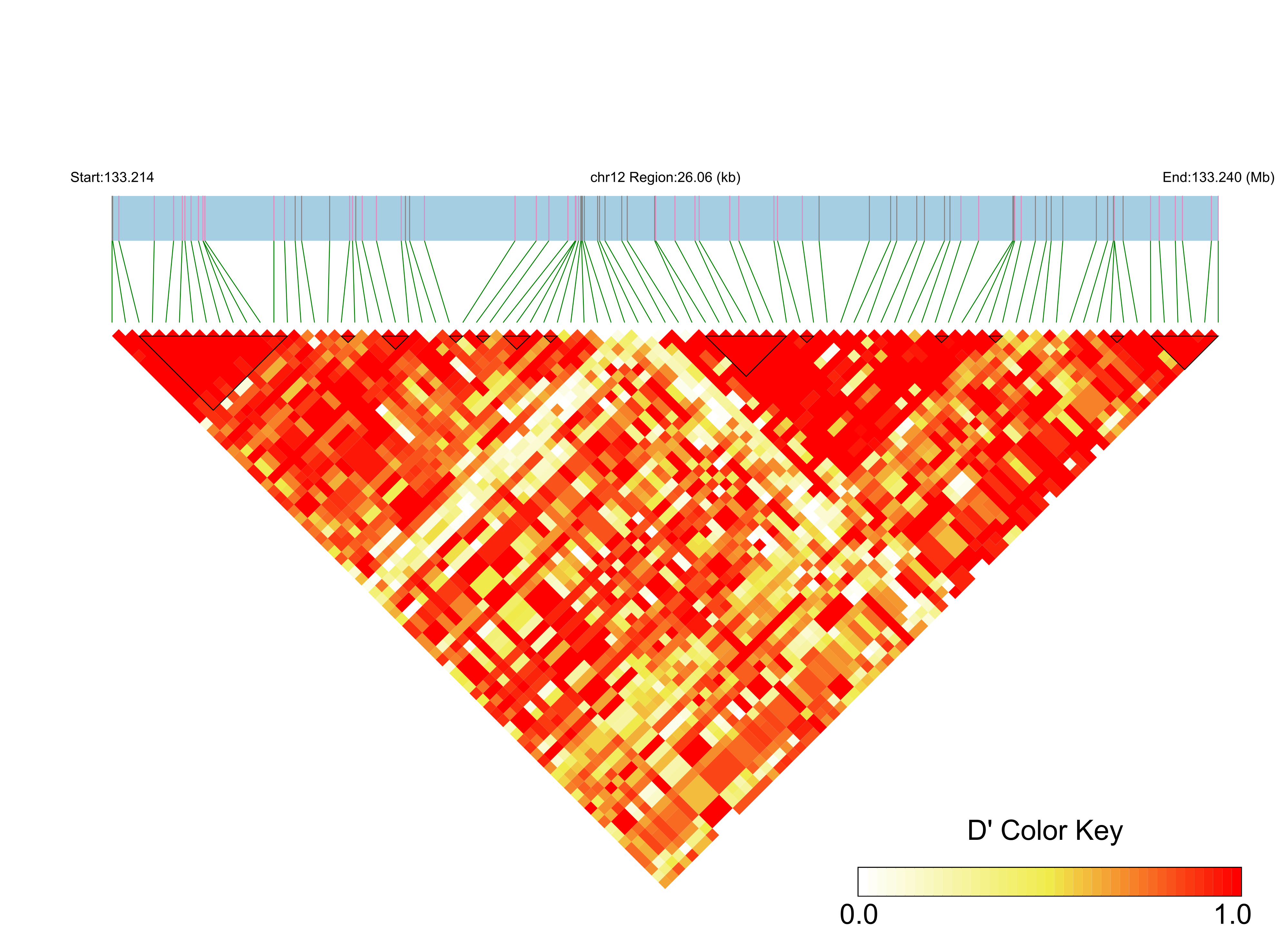 LD