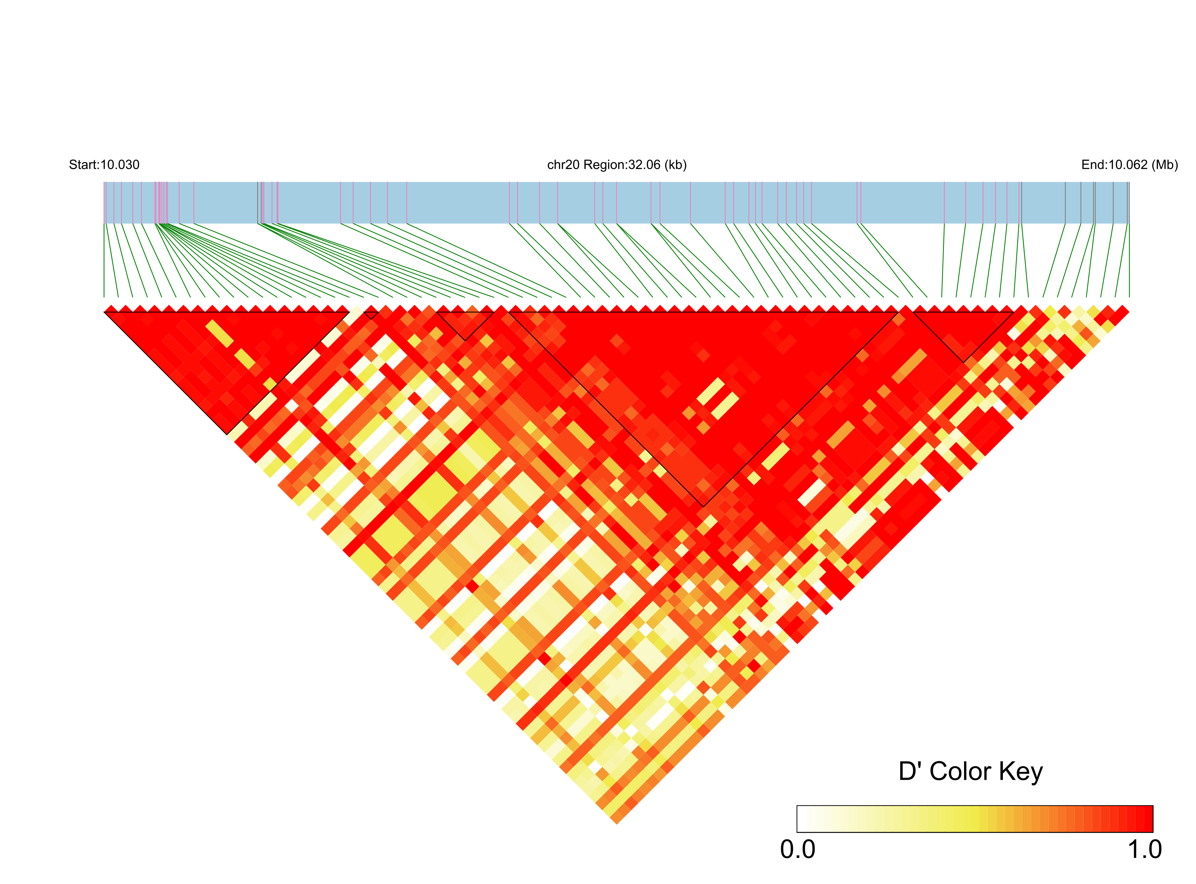 LD