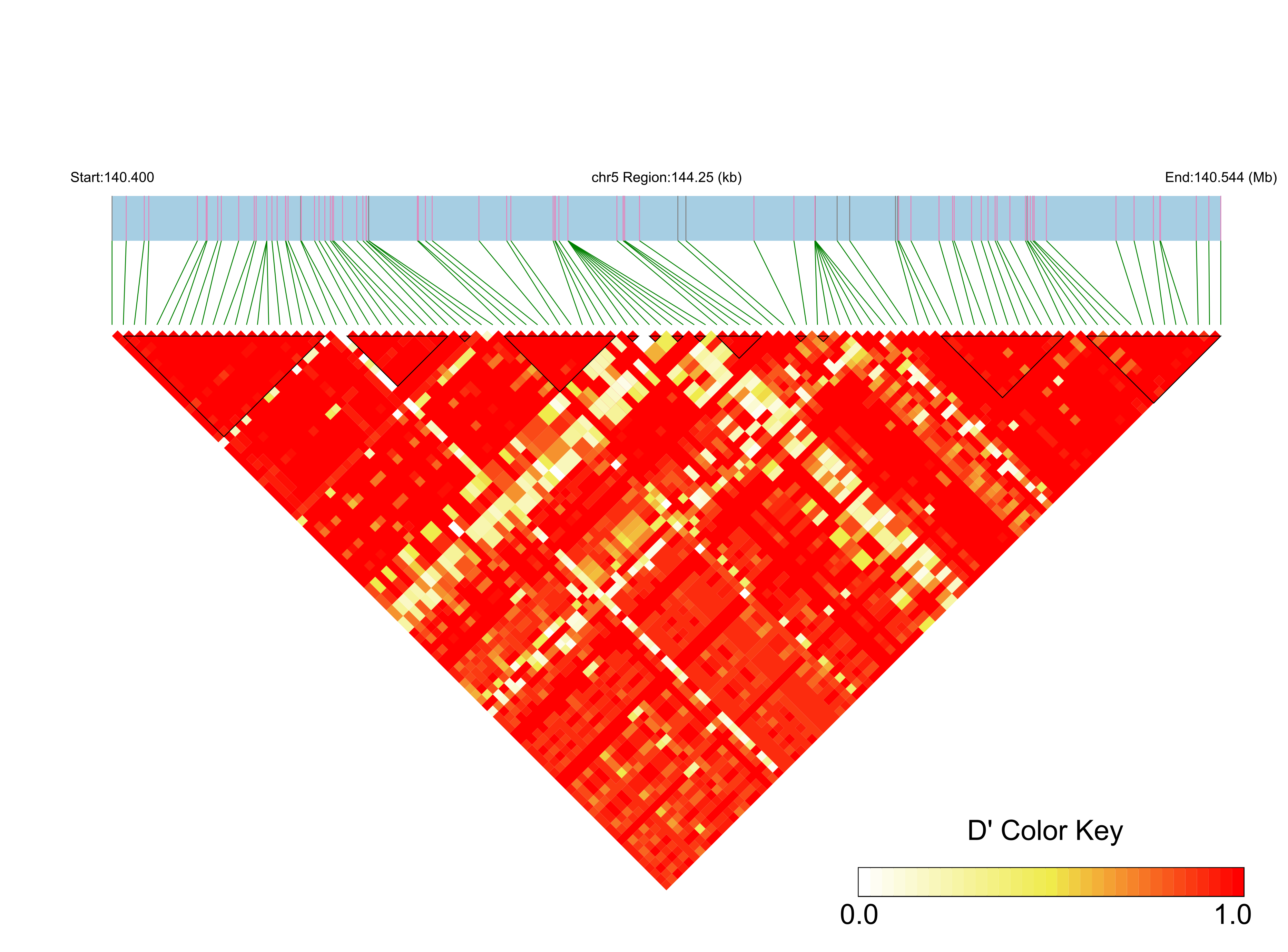 LD