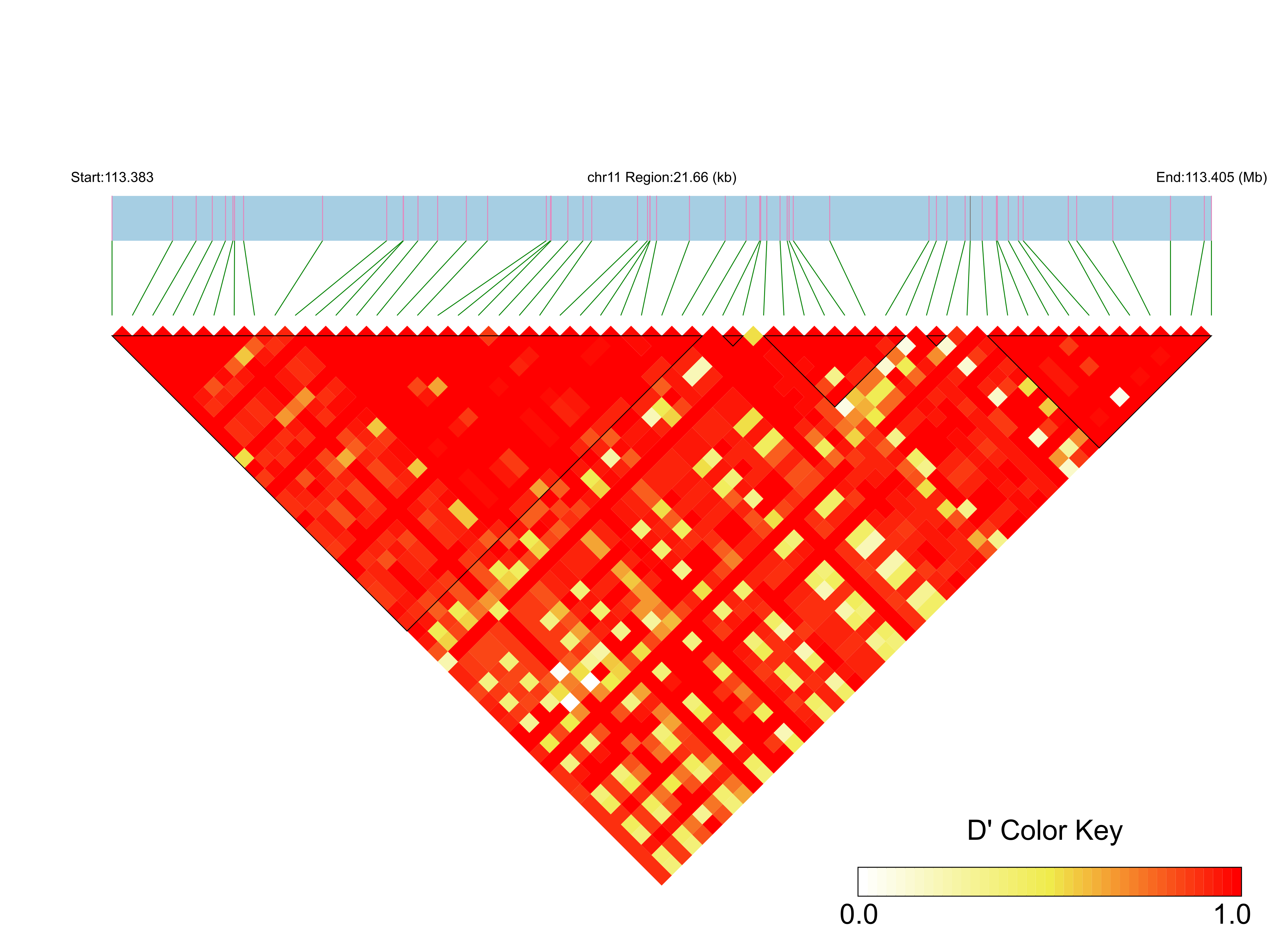 LD