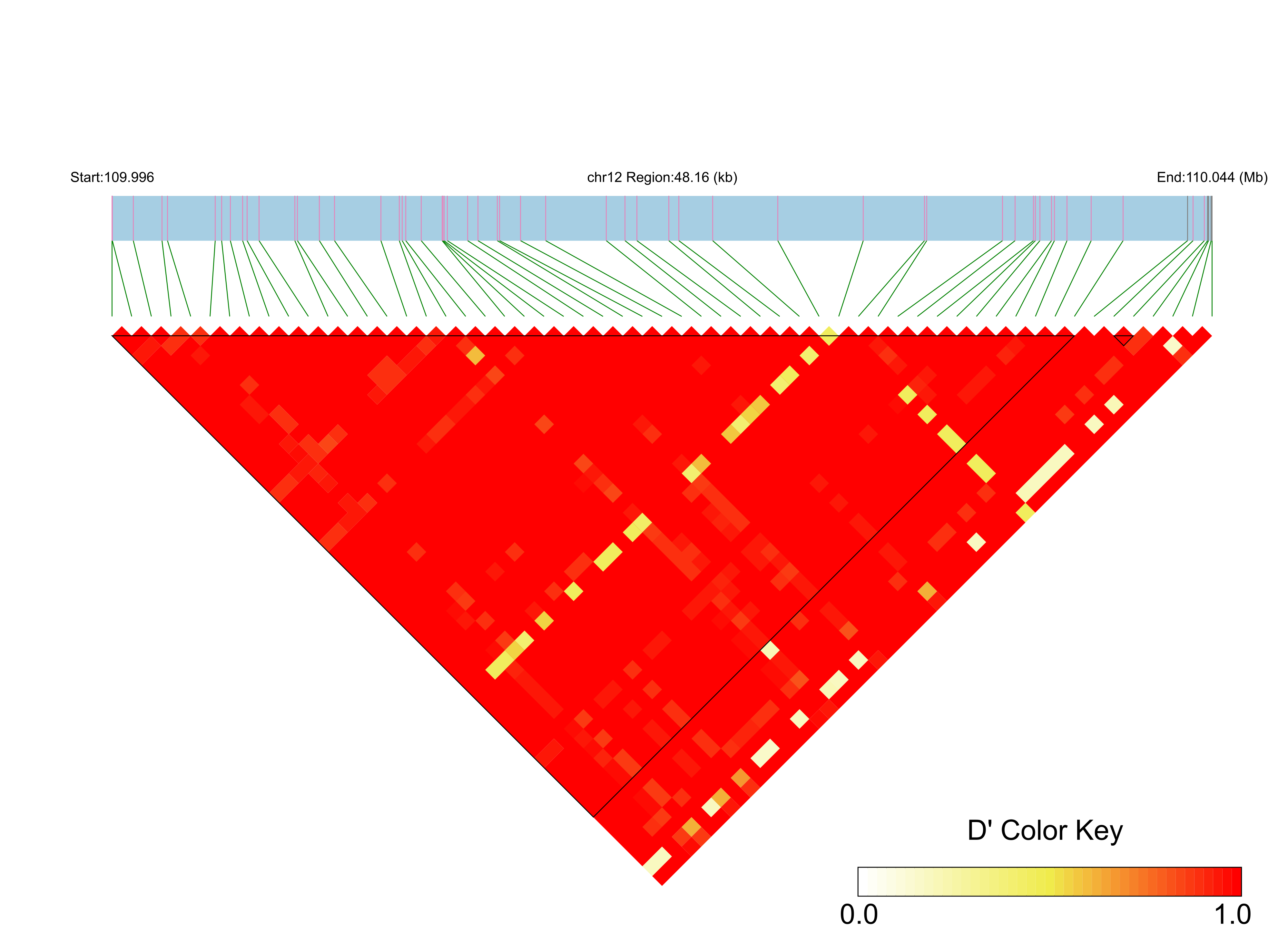 LD