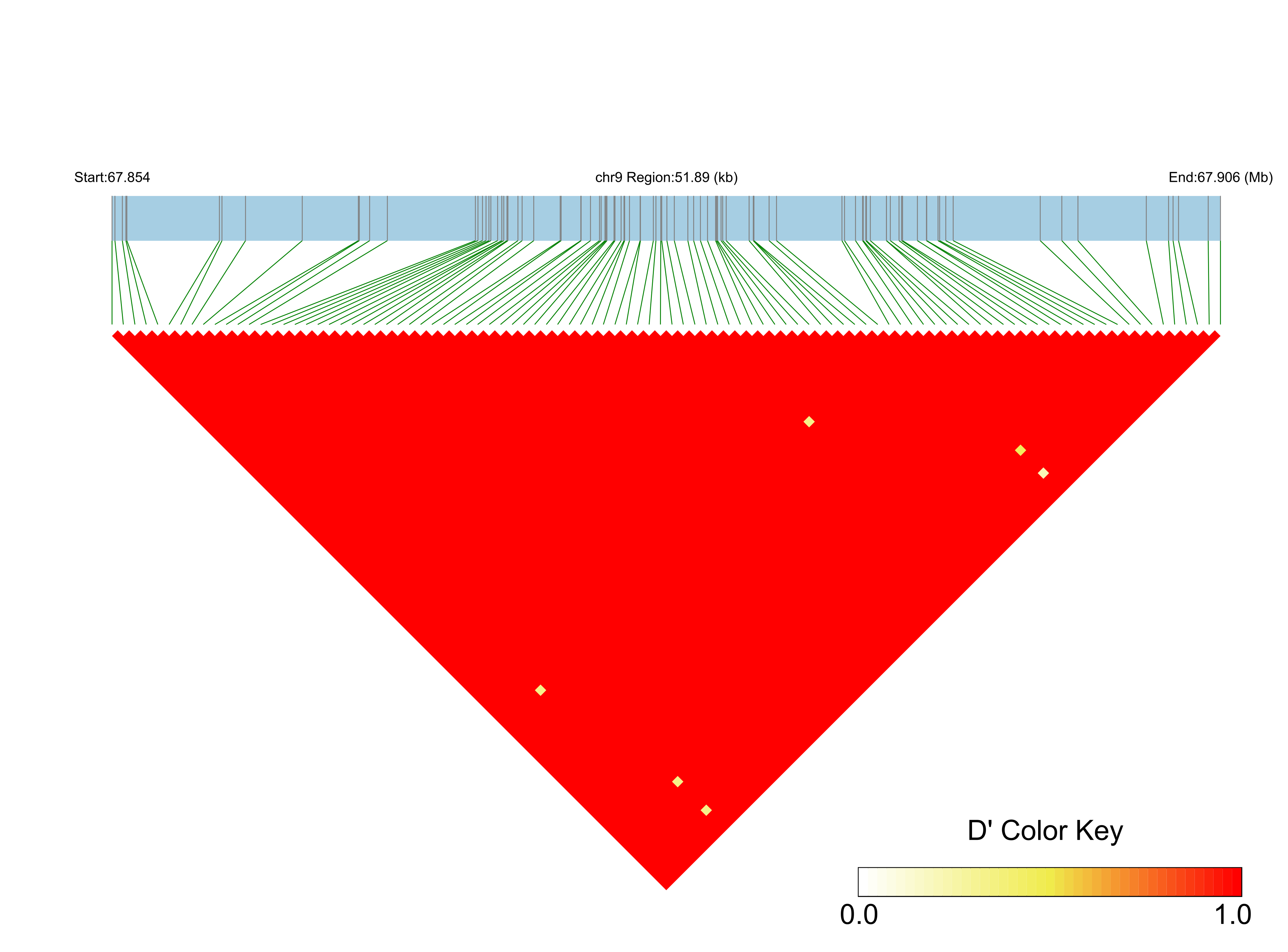 LD