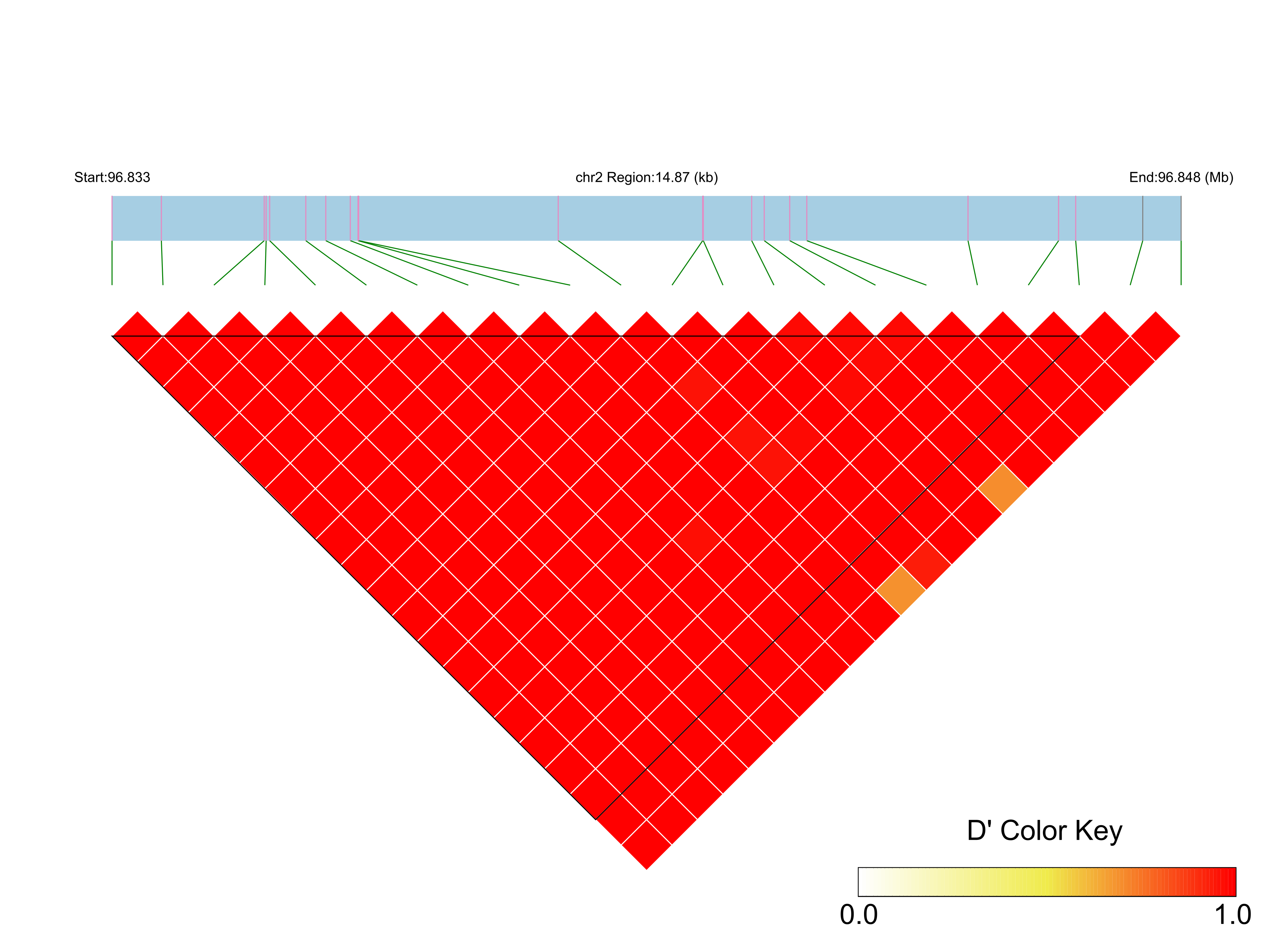 LD