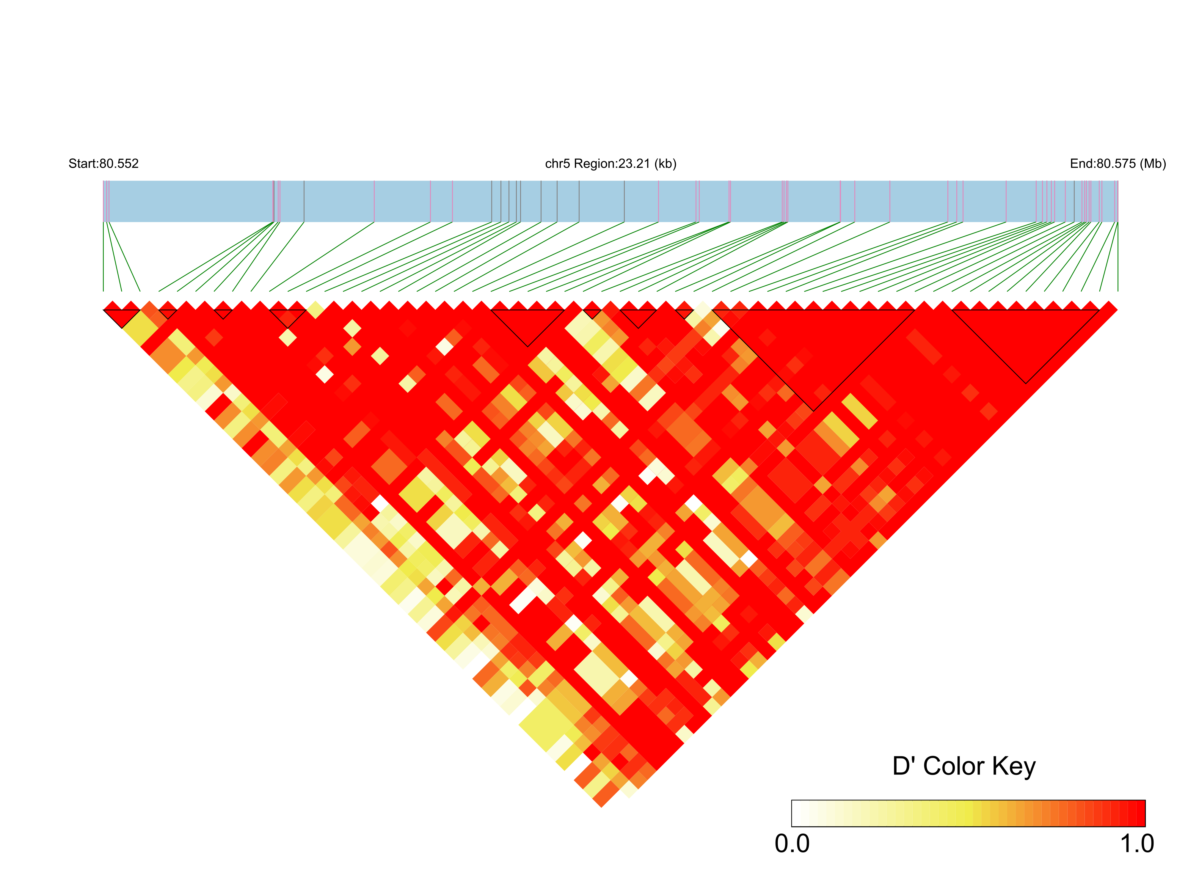 LD