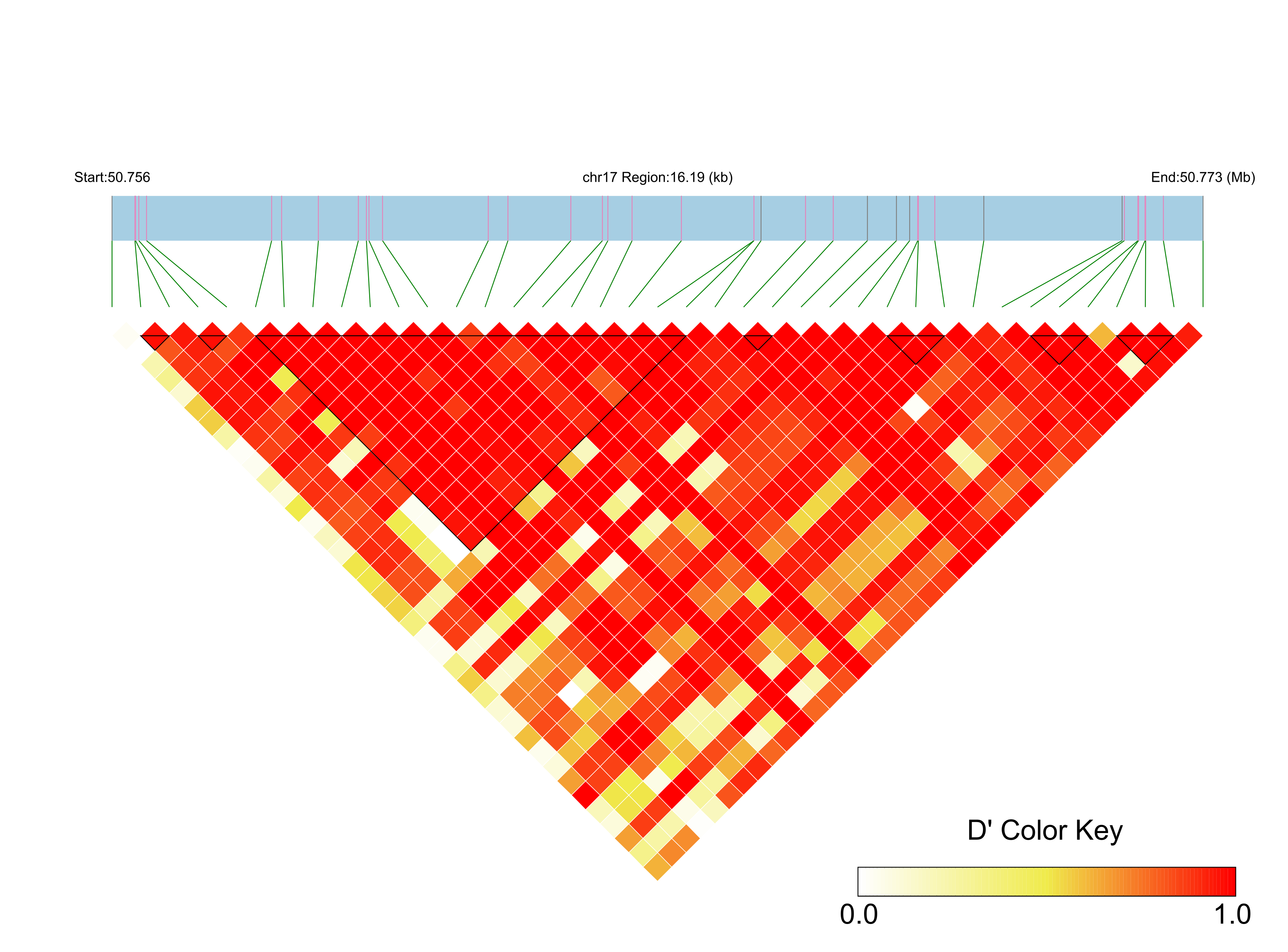 LD