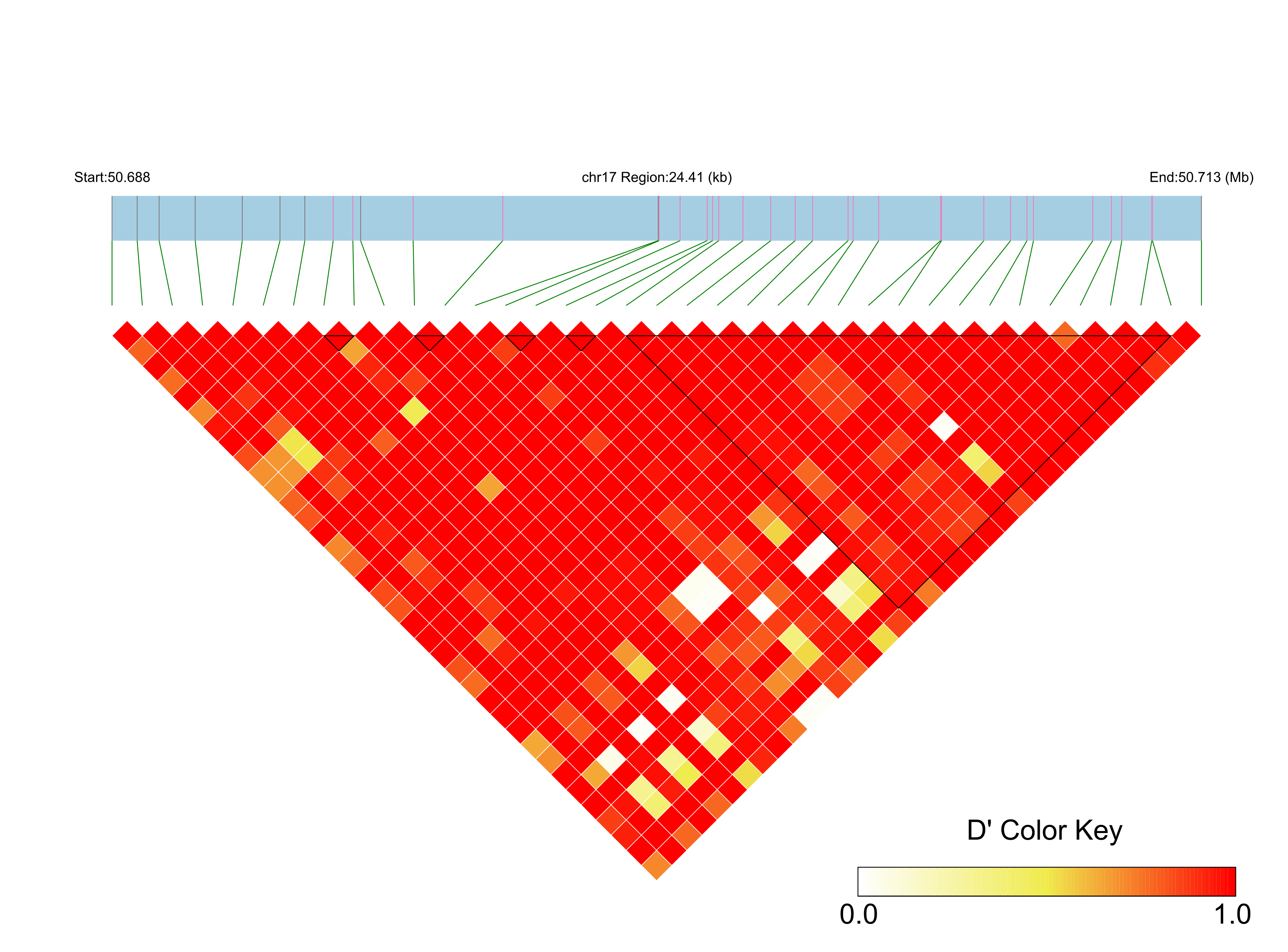 LD