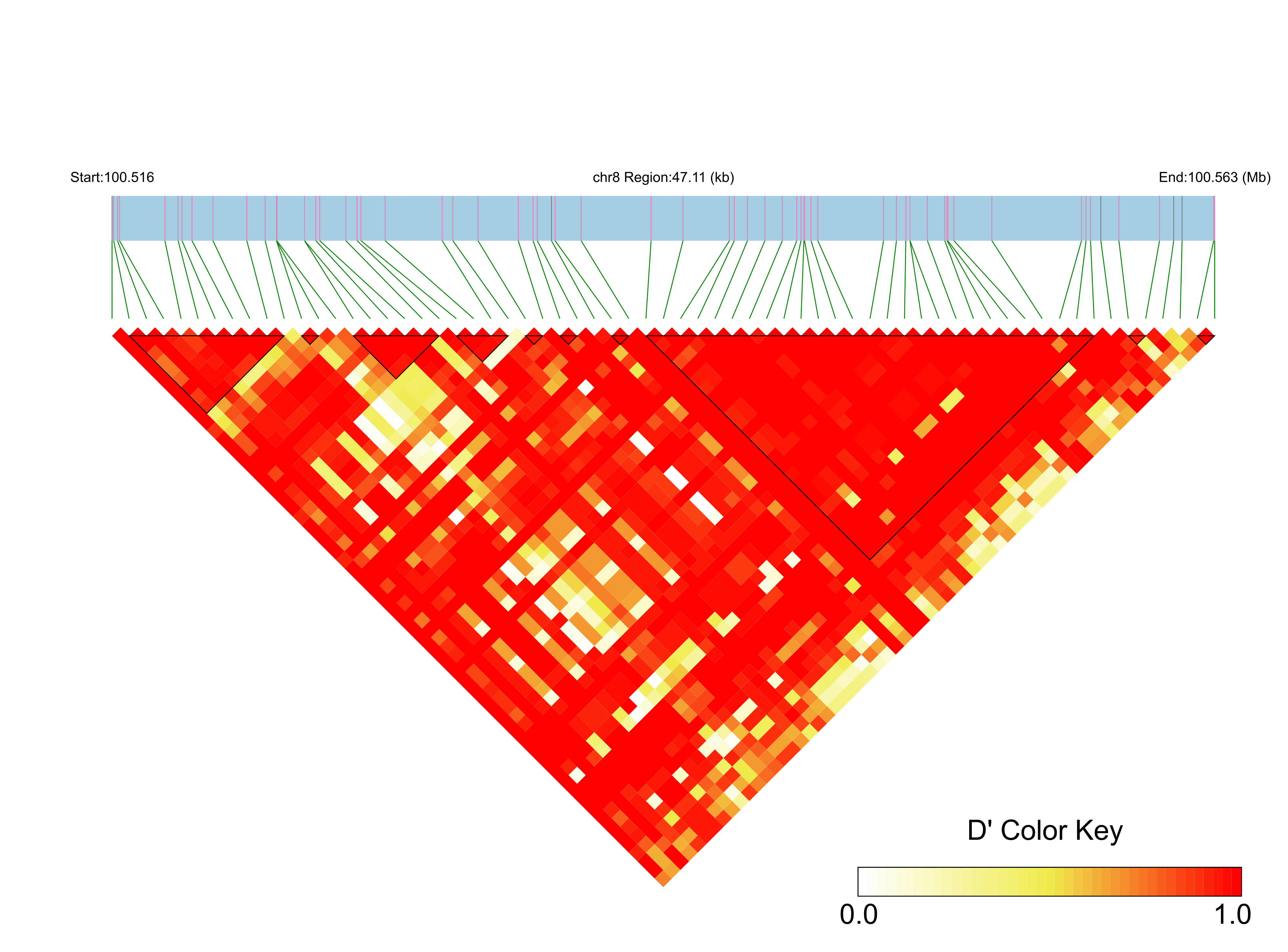 LD