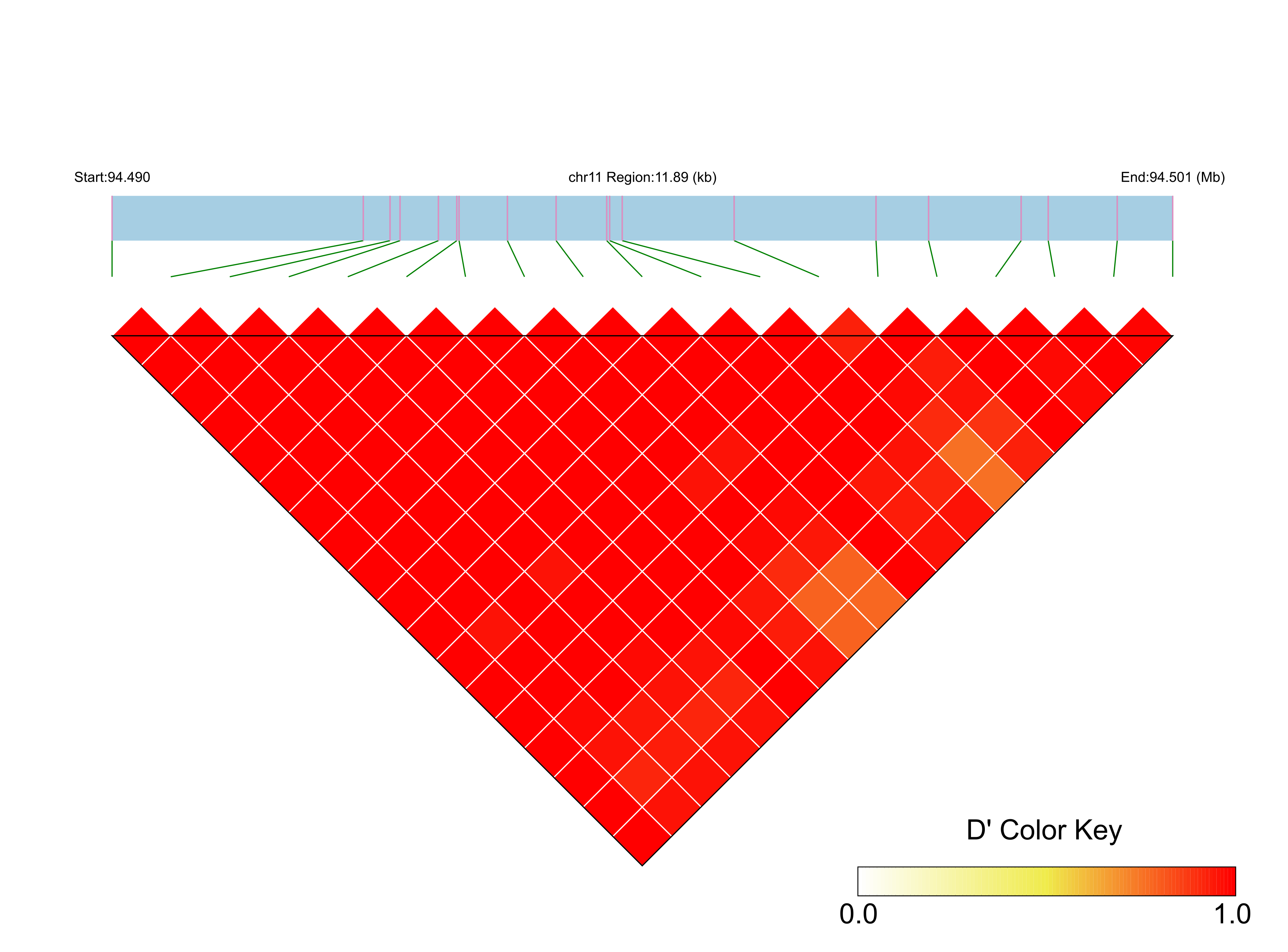 LD
