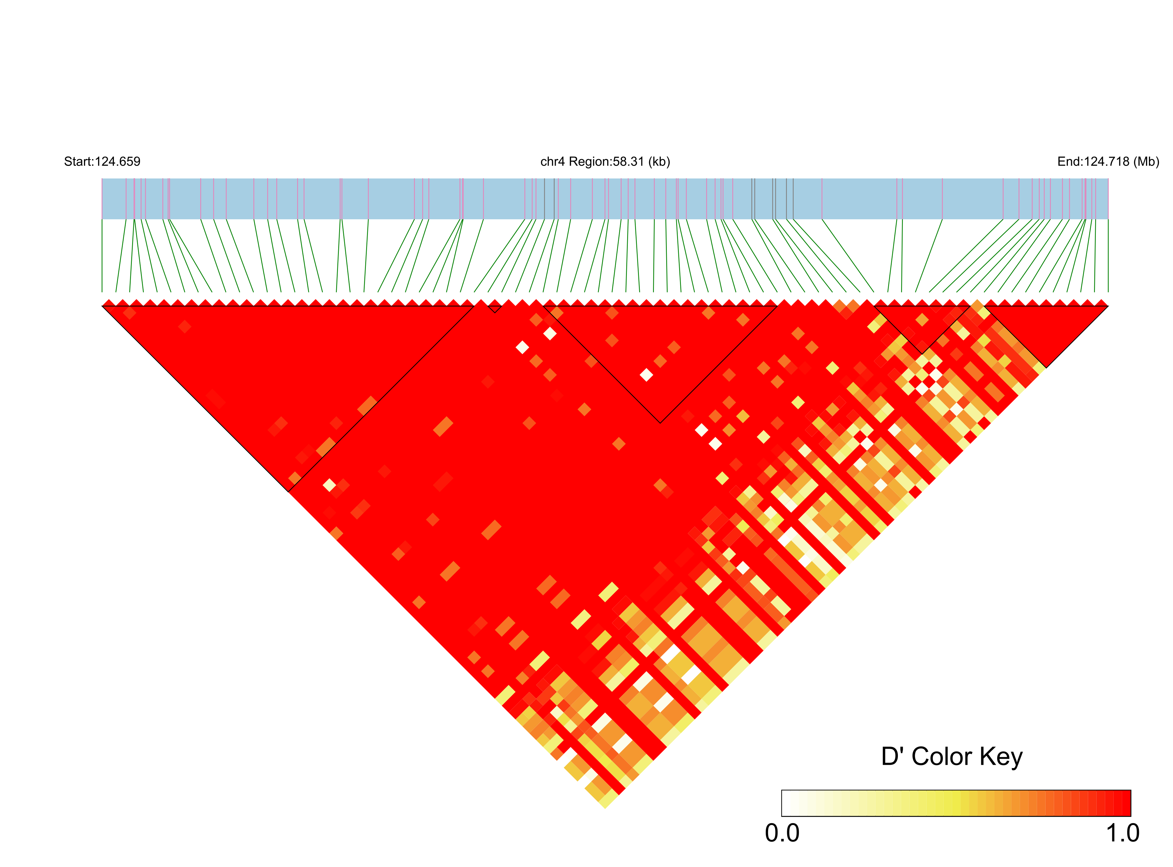 LD