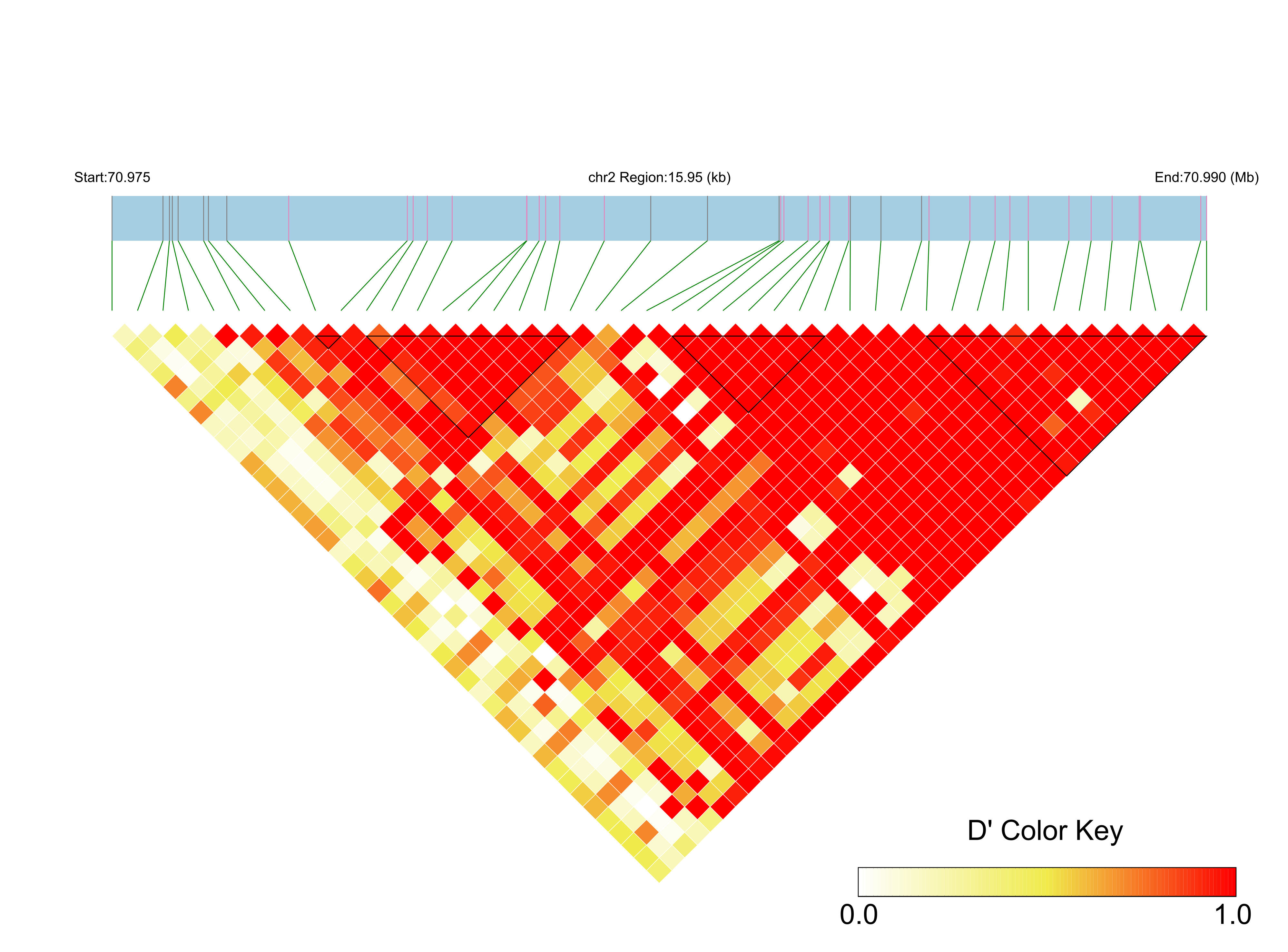 LD