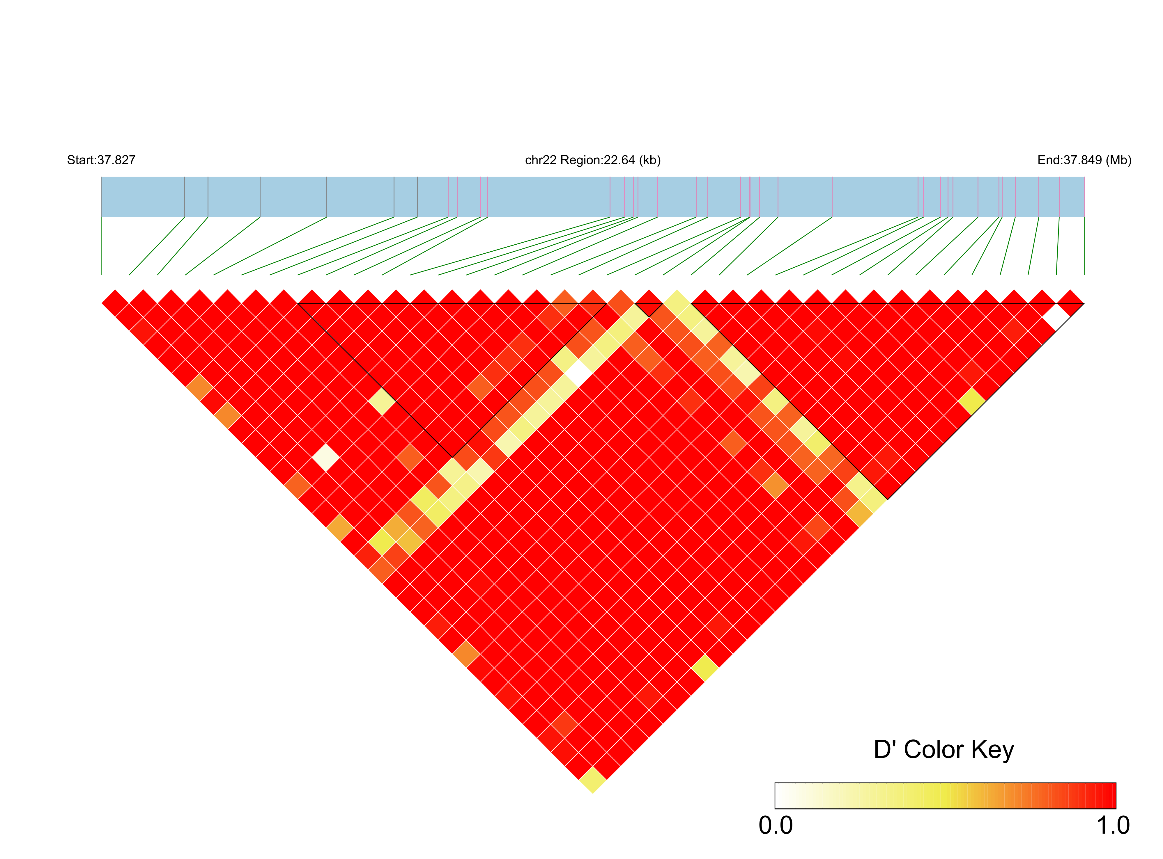 LD