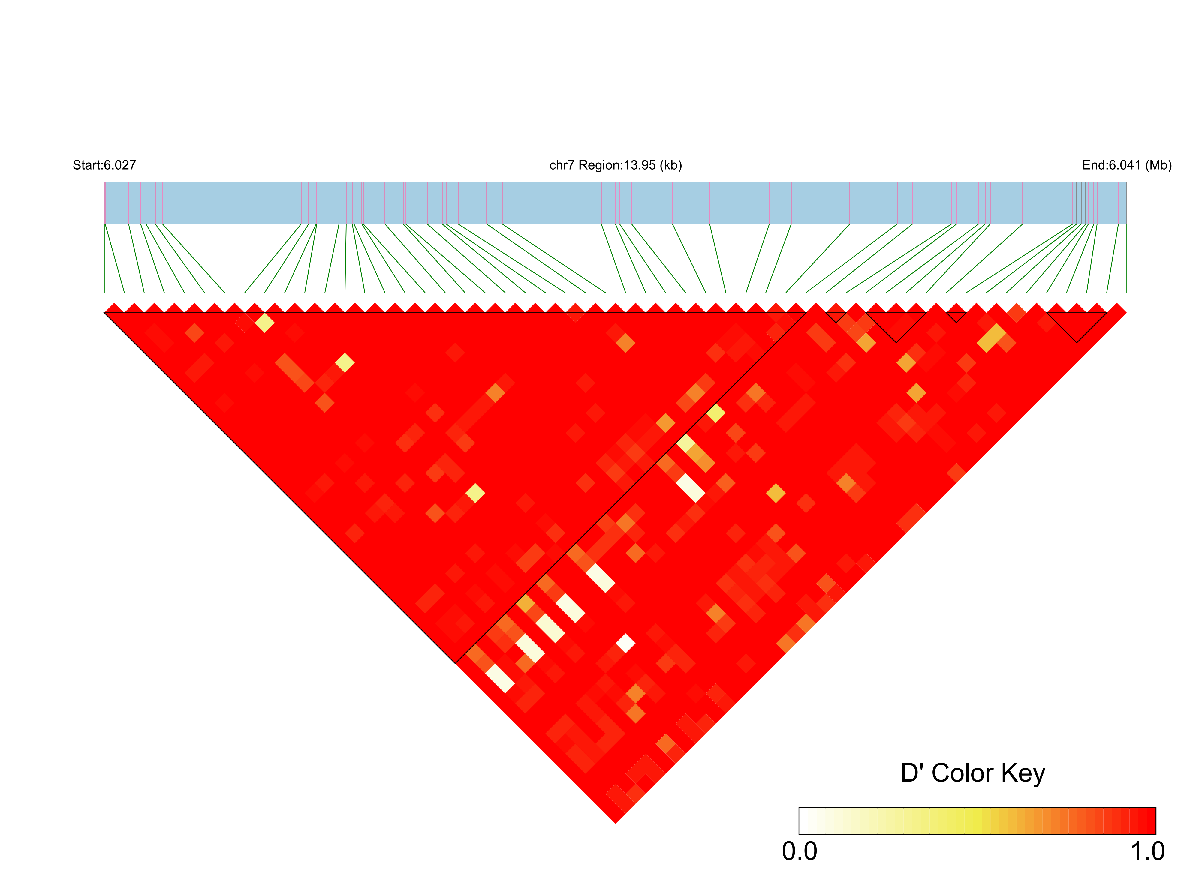 LD
