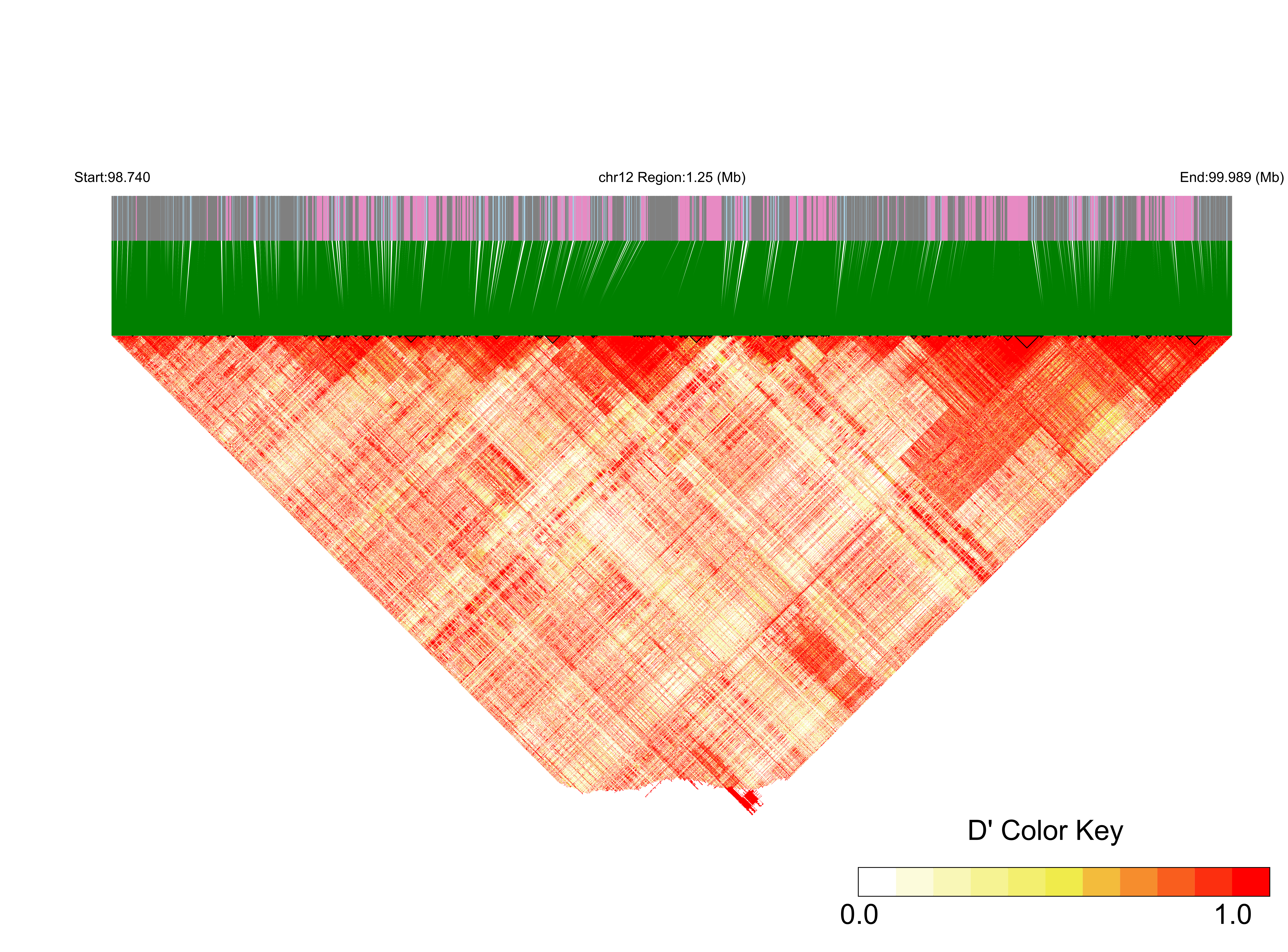 LD