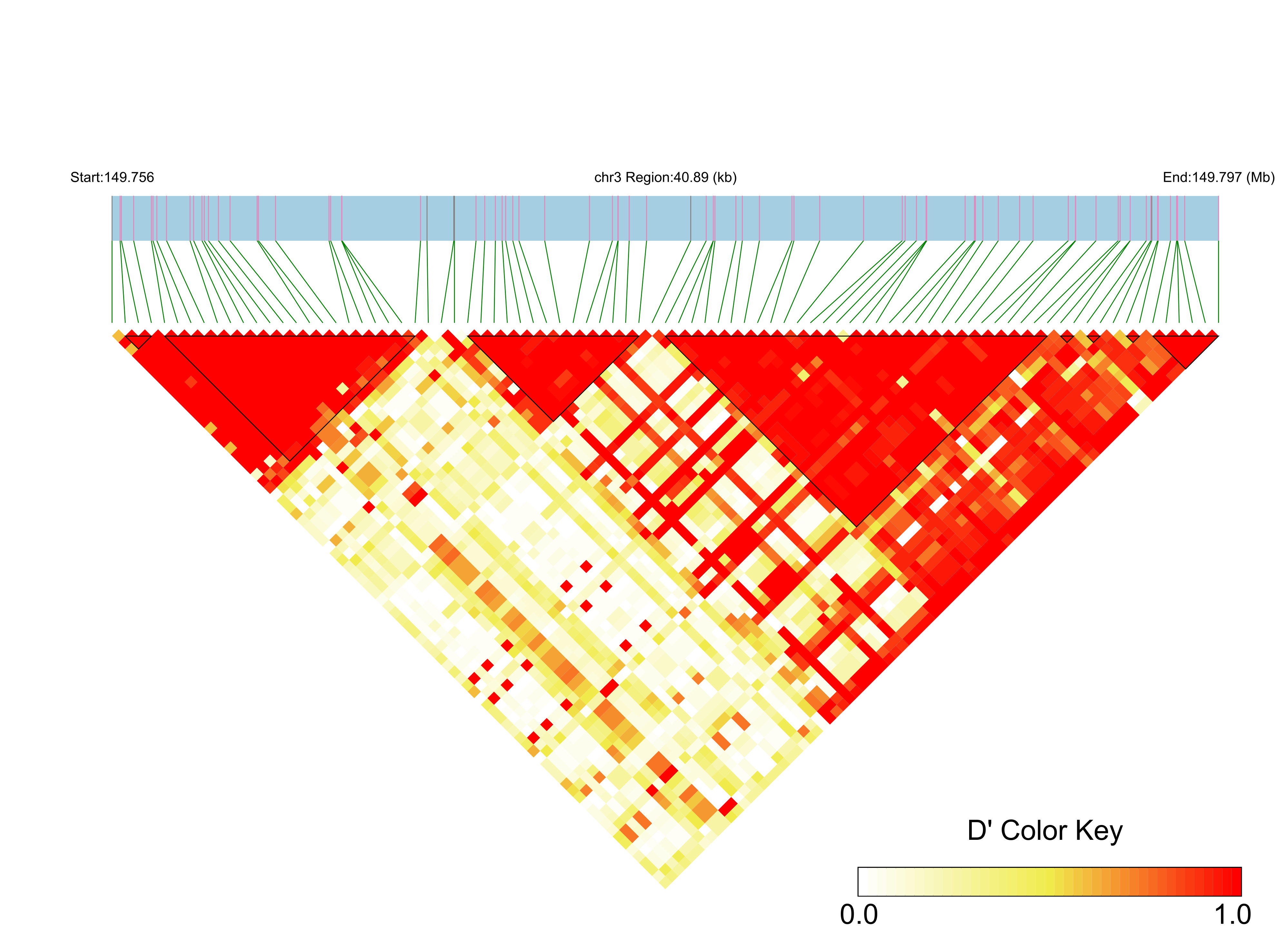 LD