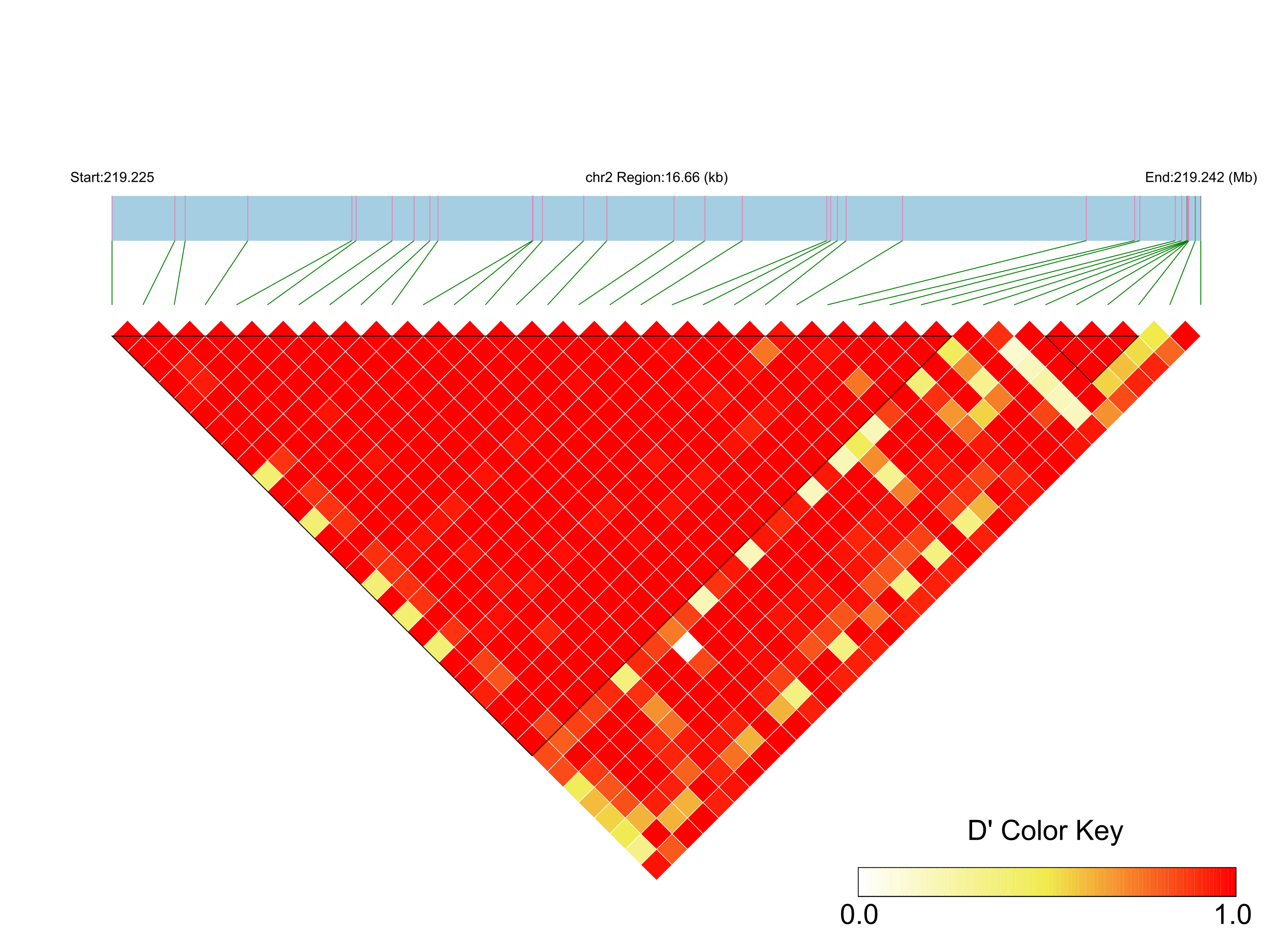 LD
