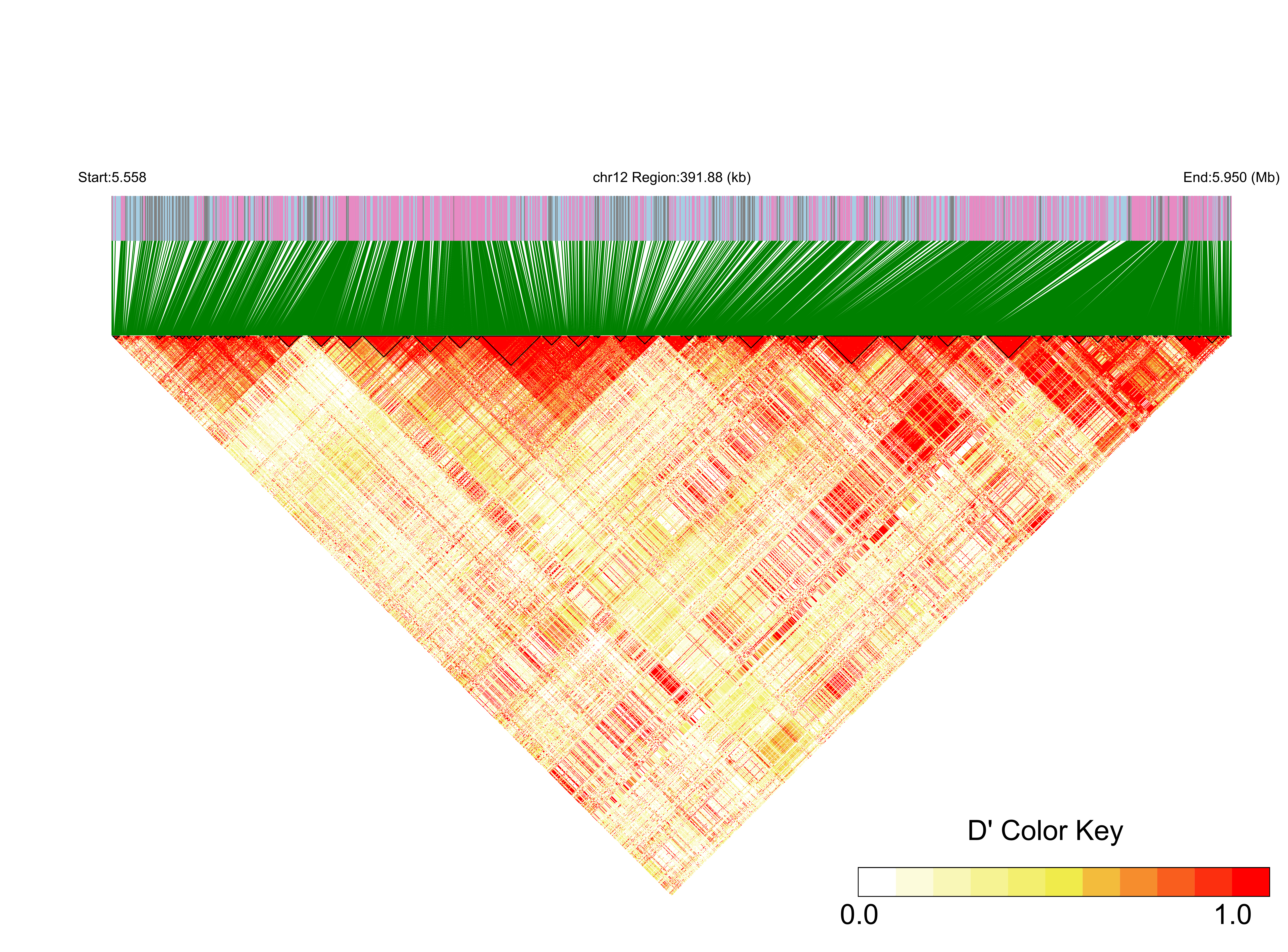 LD