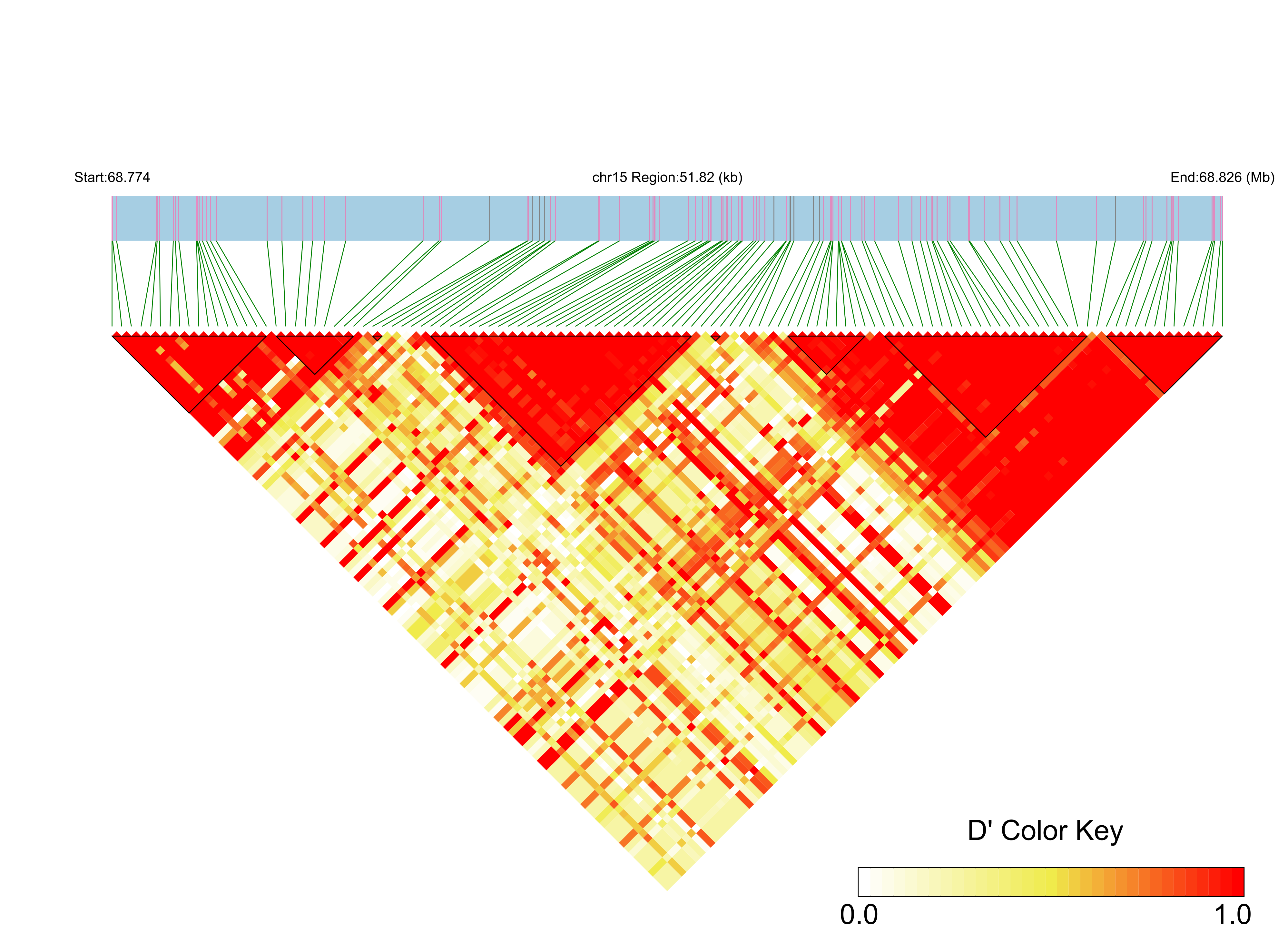 LD