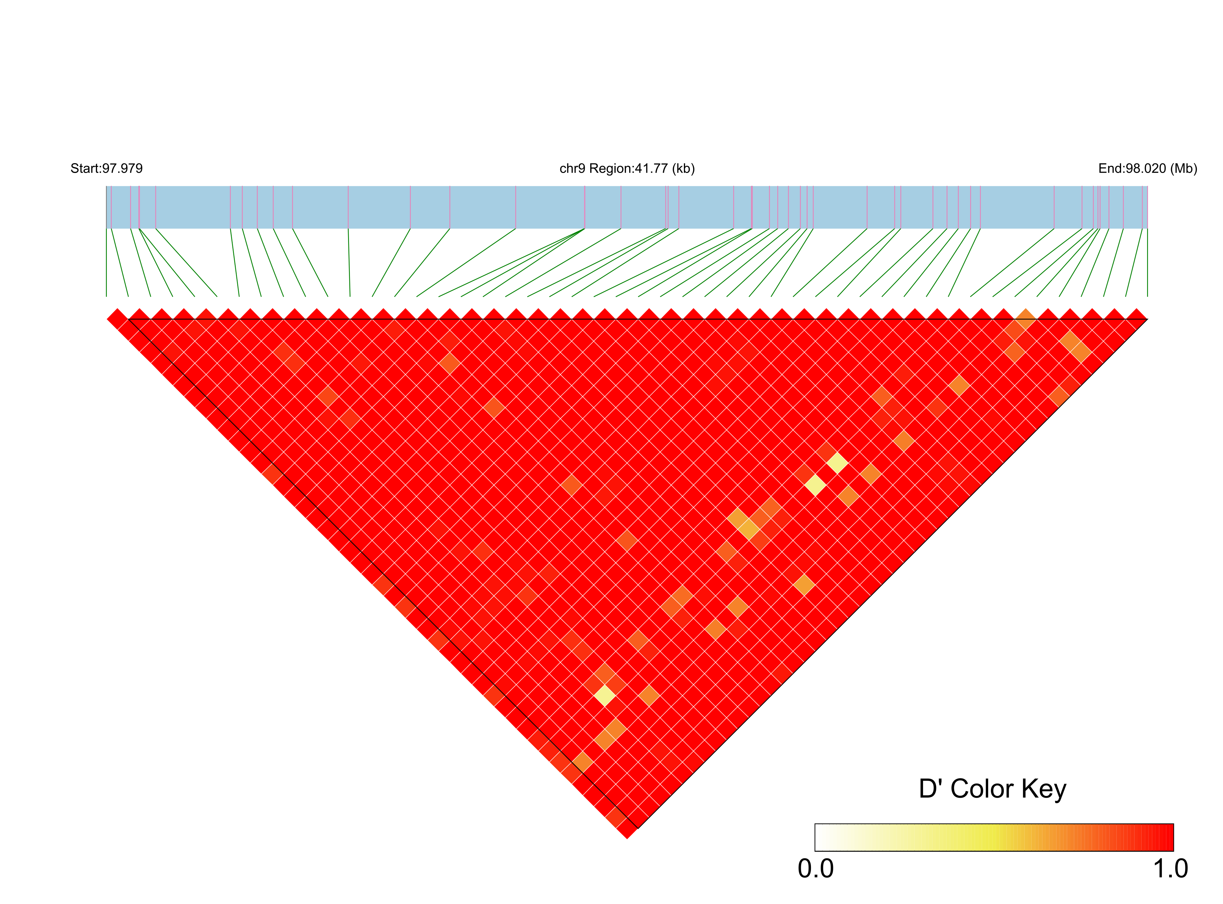 LD