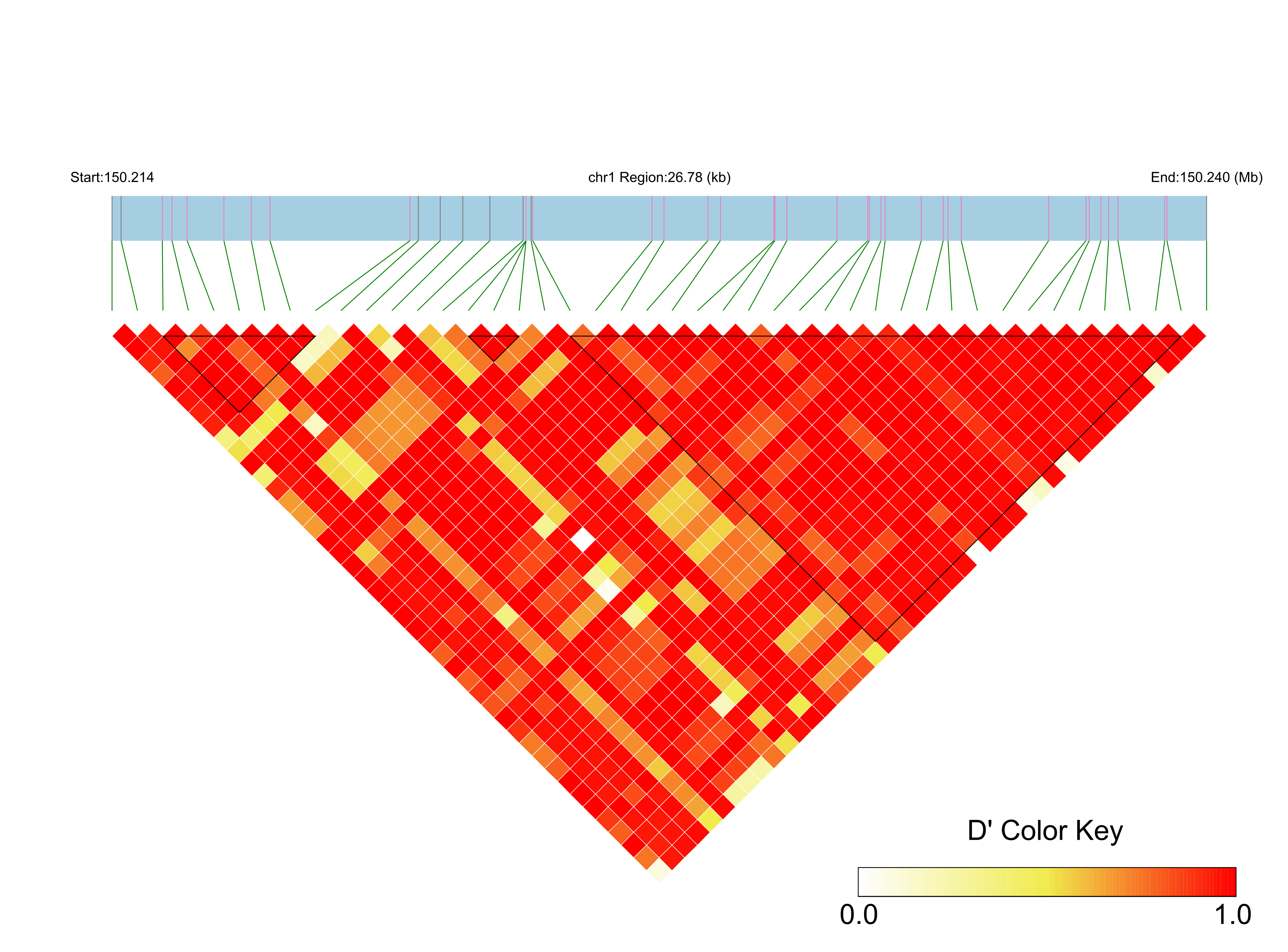 LD