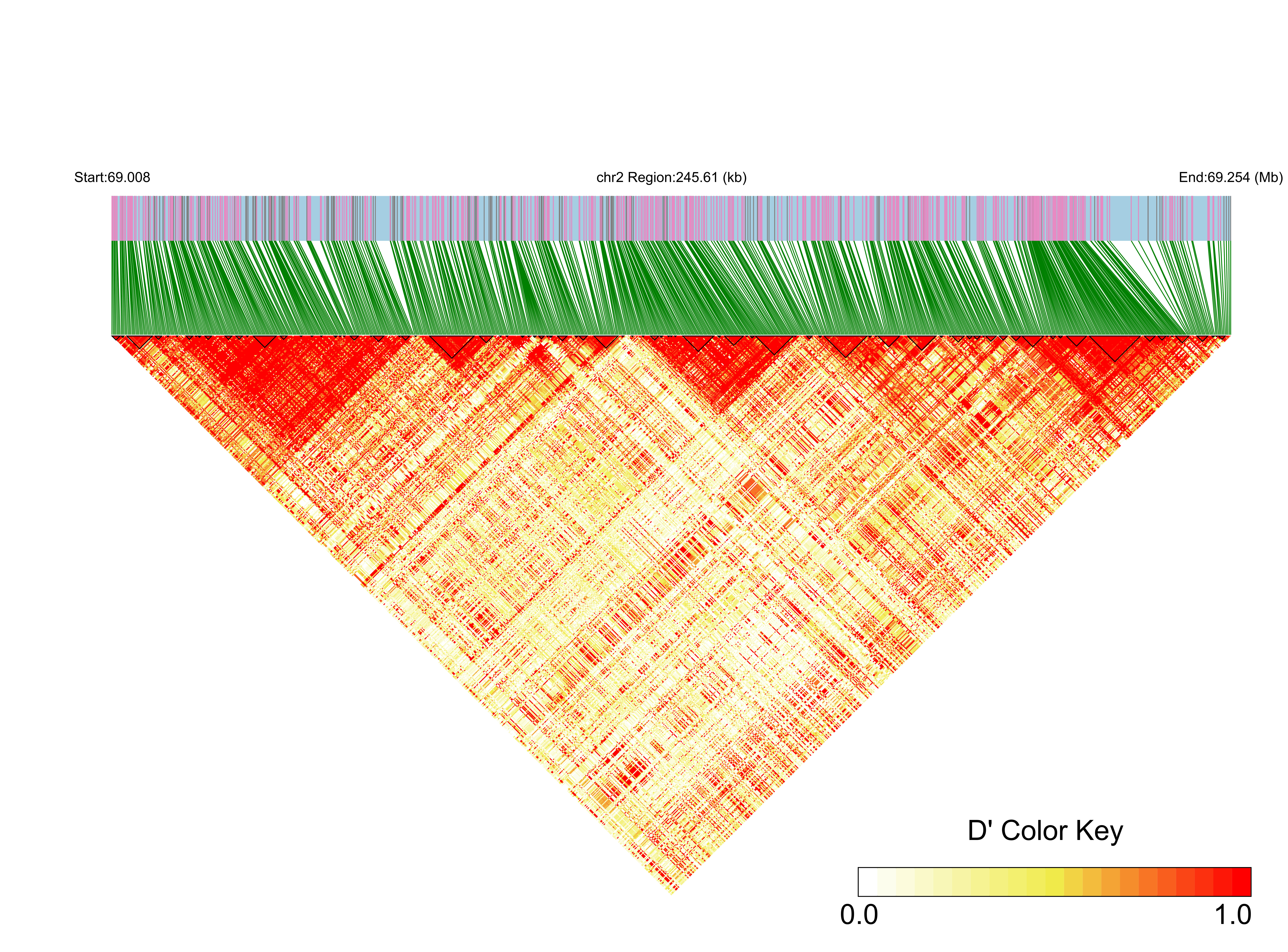 LD