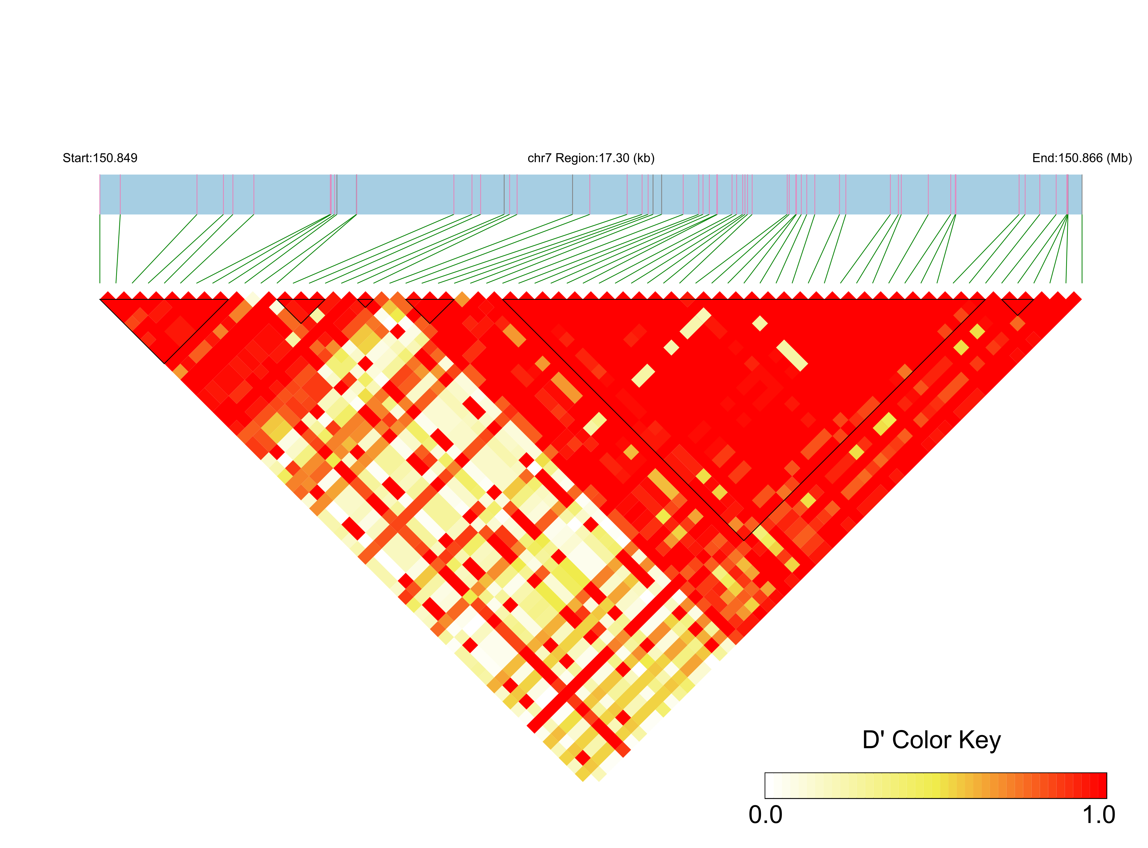 LD