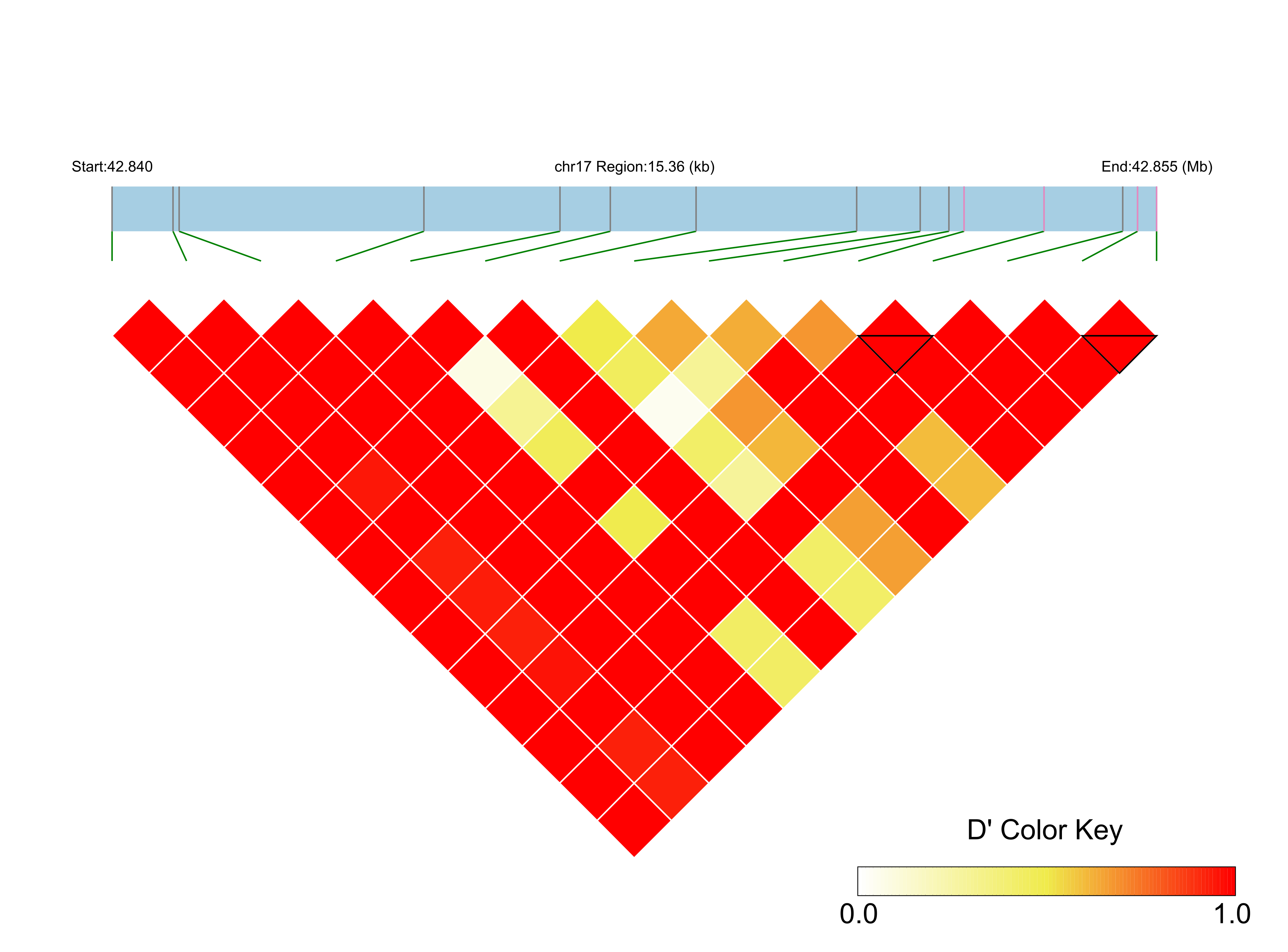 LD