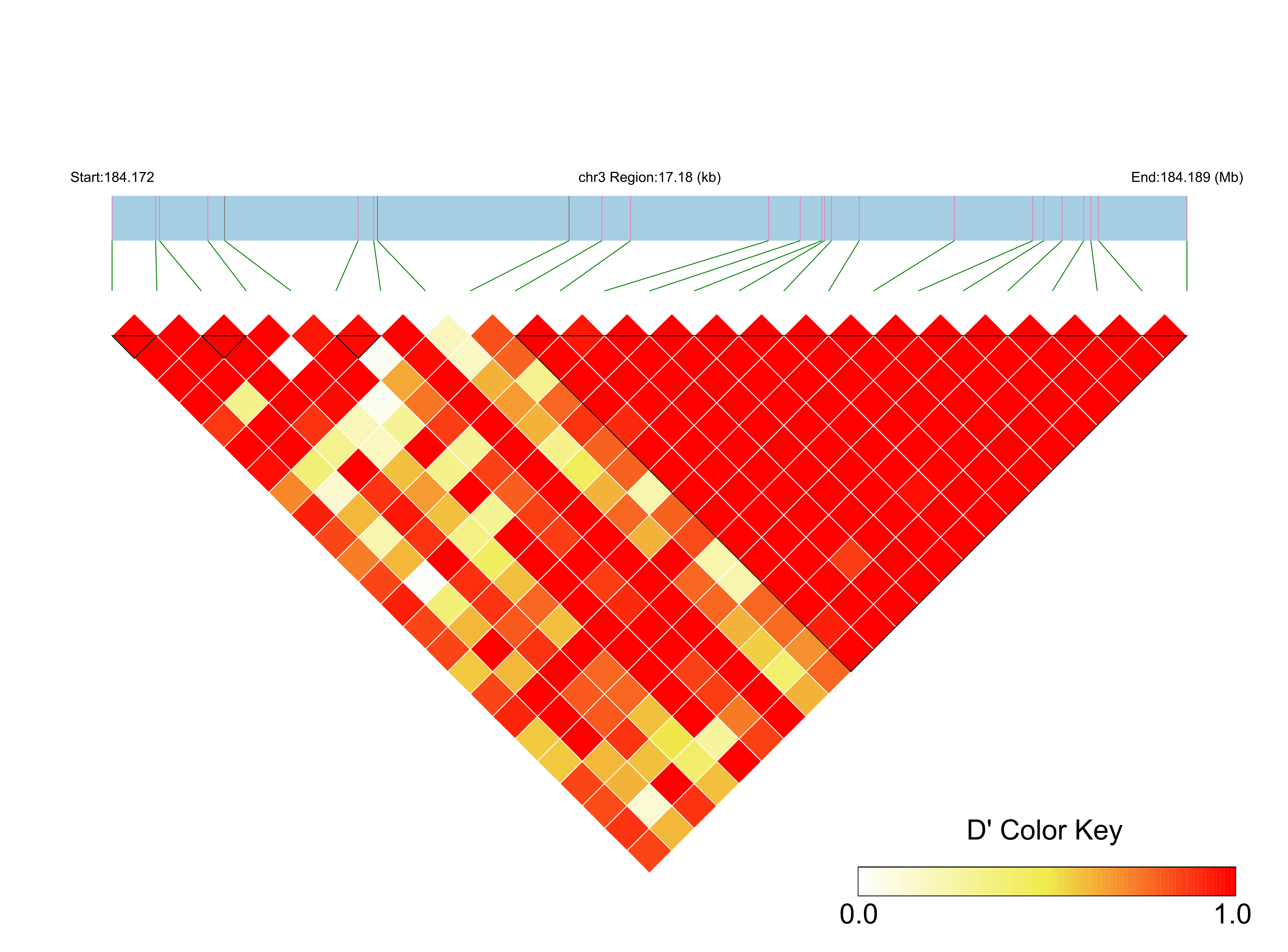 LD