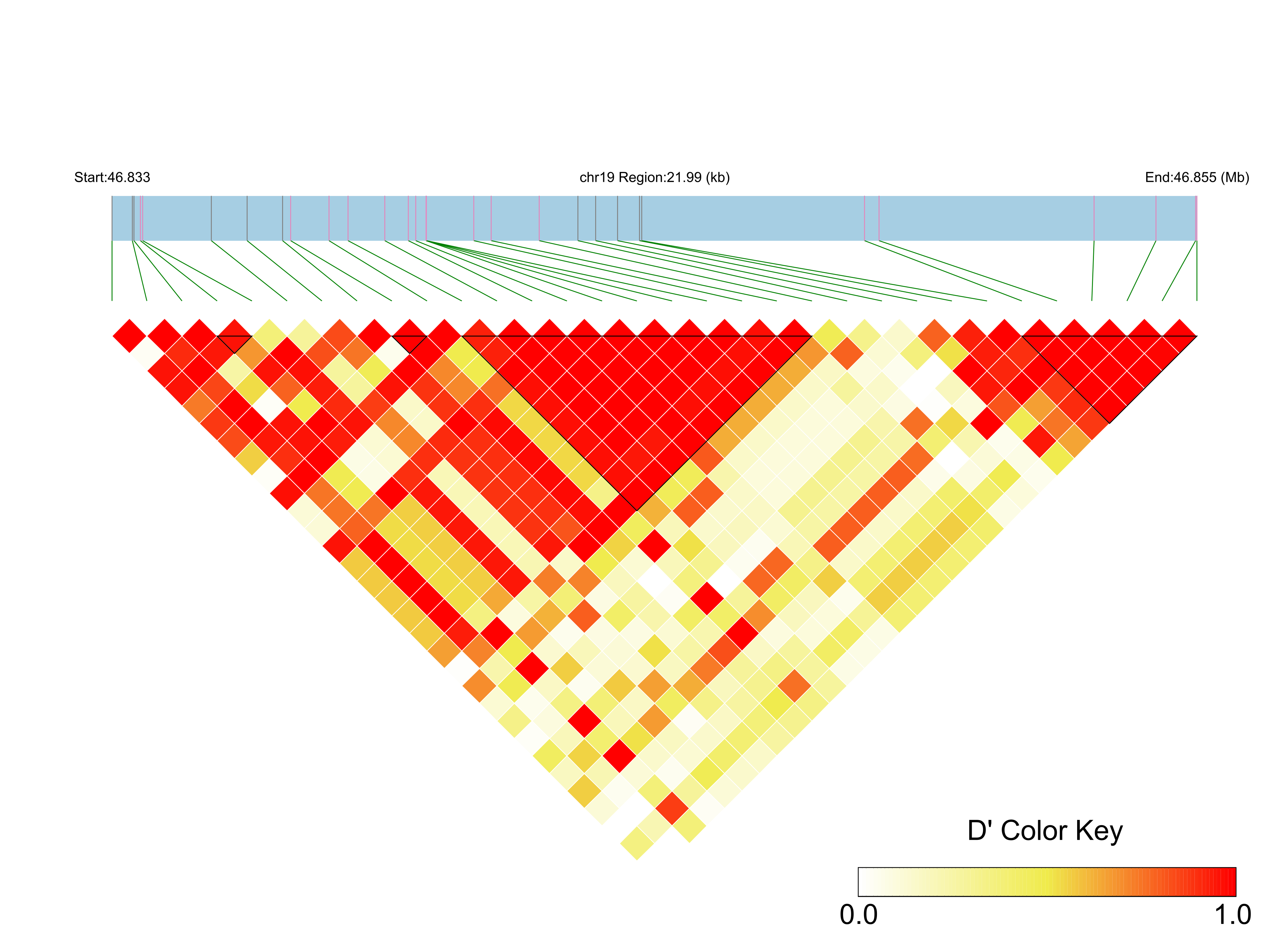 LD