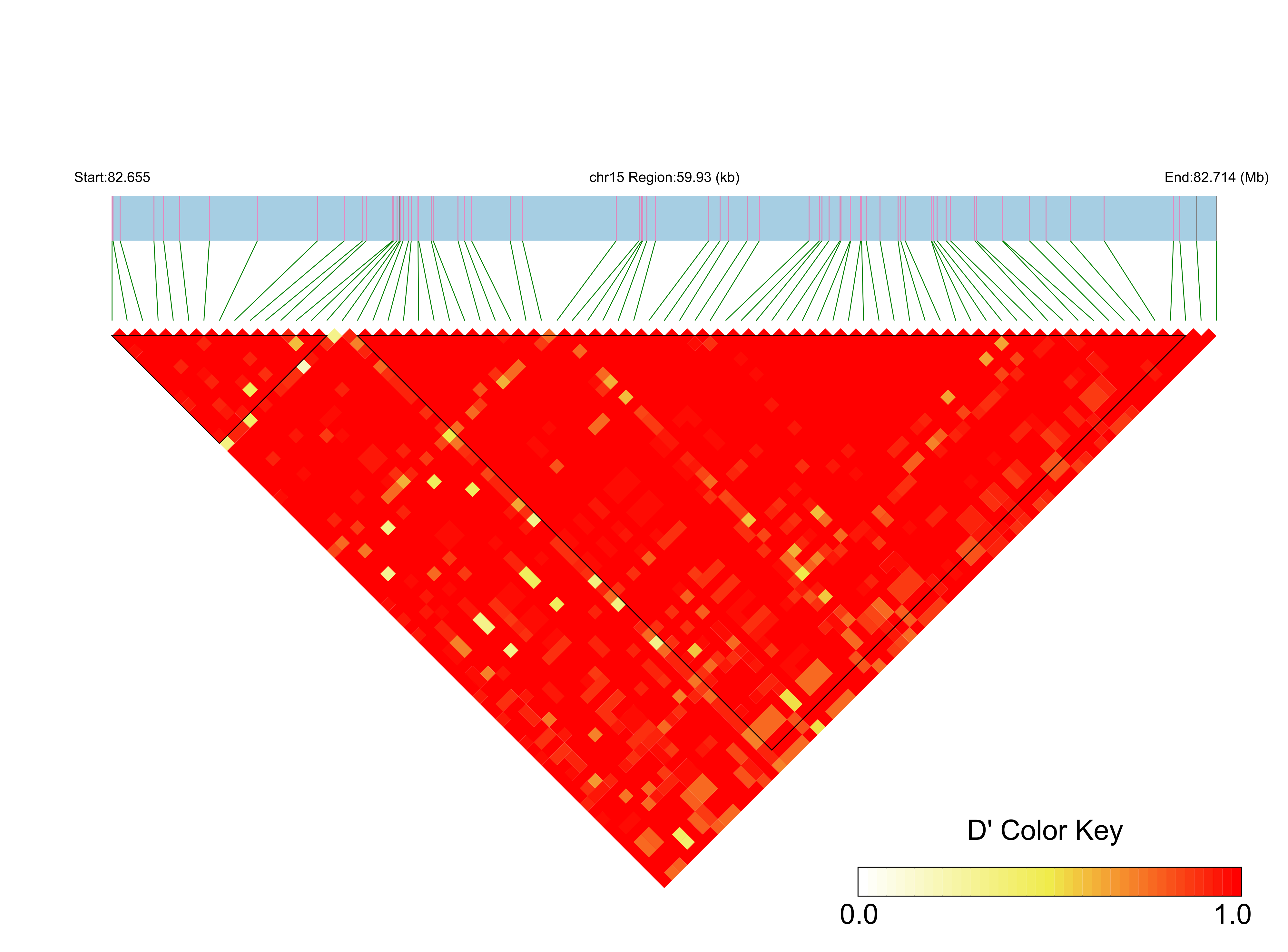 LD