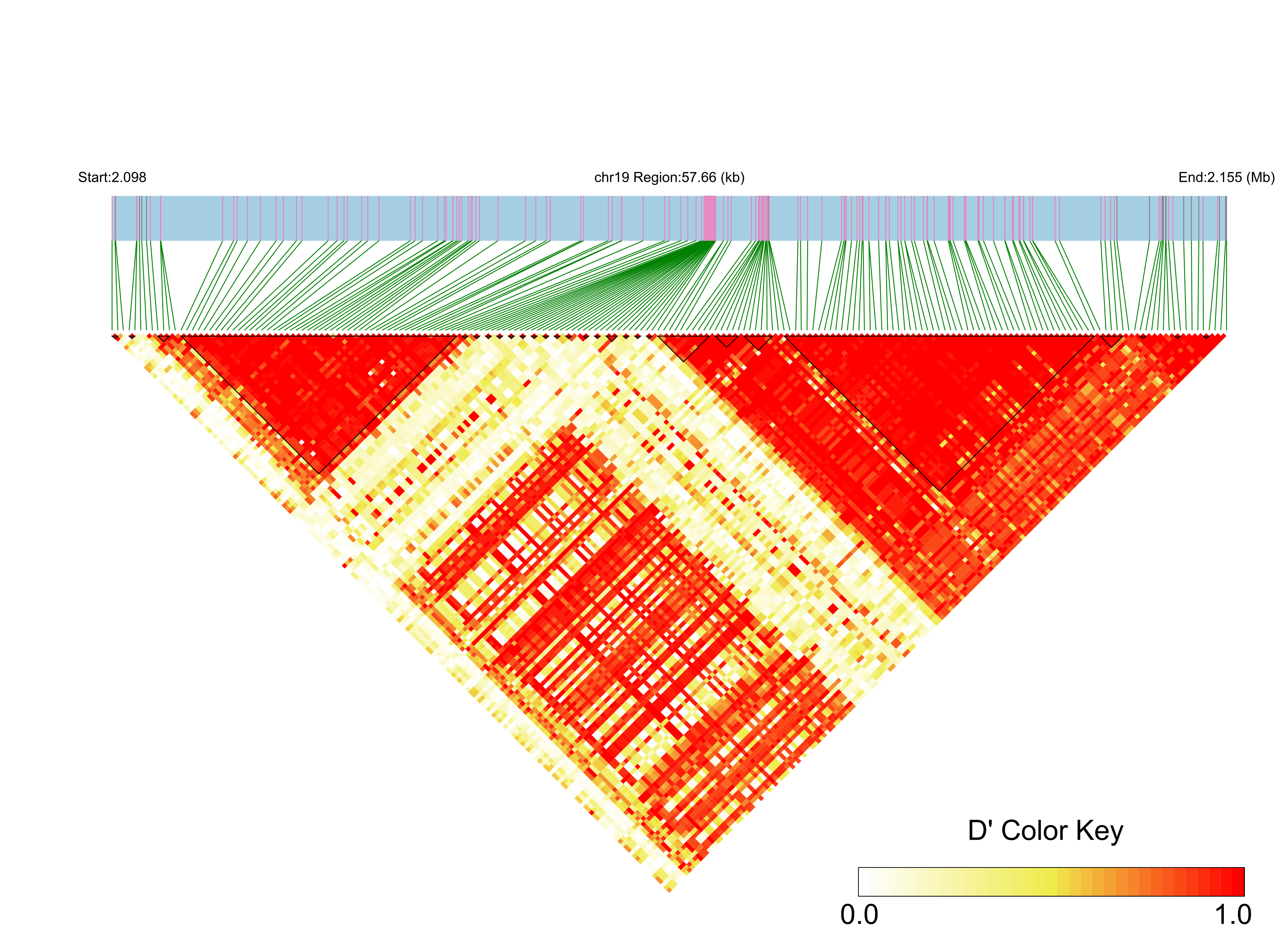 LD