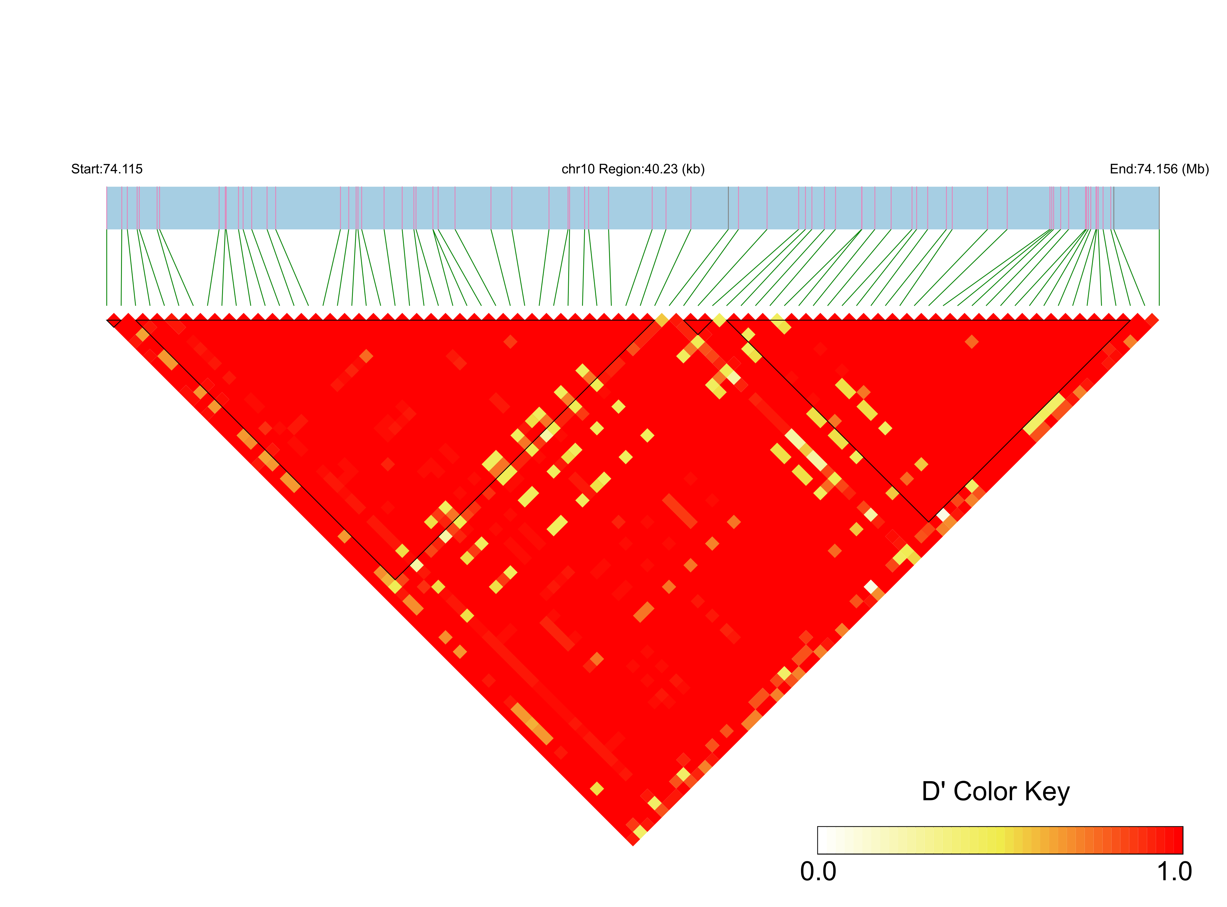 LD