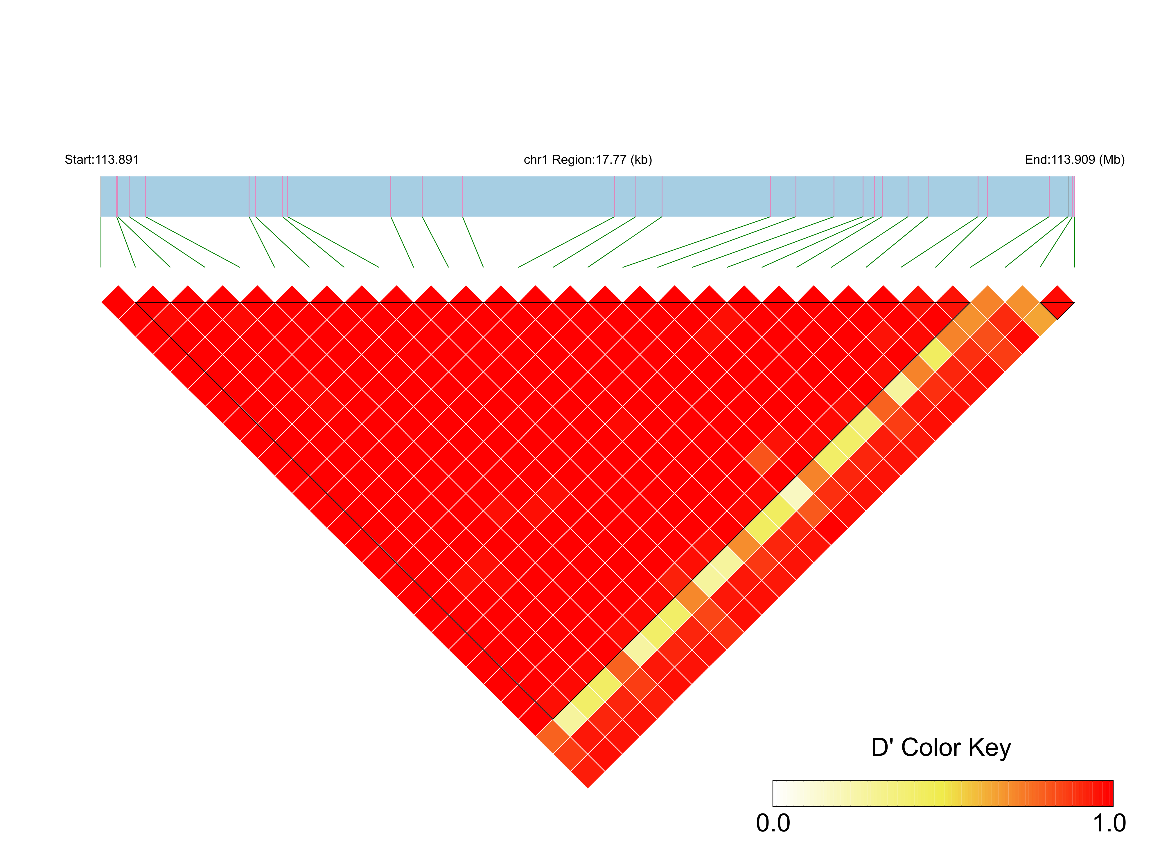 LD