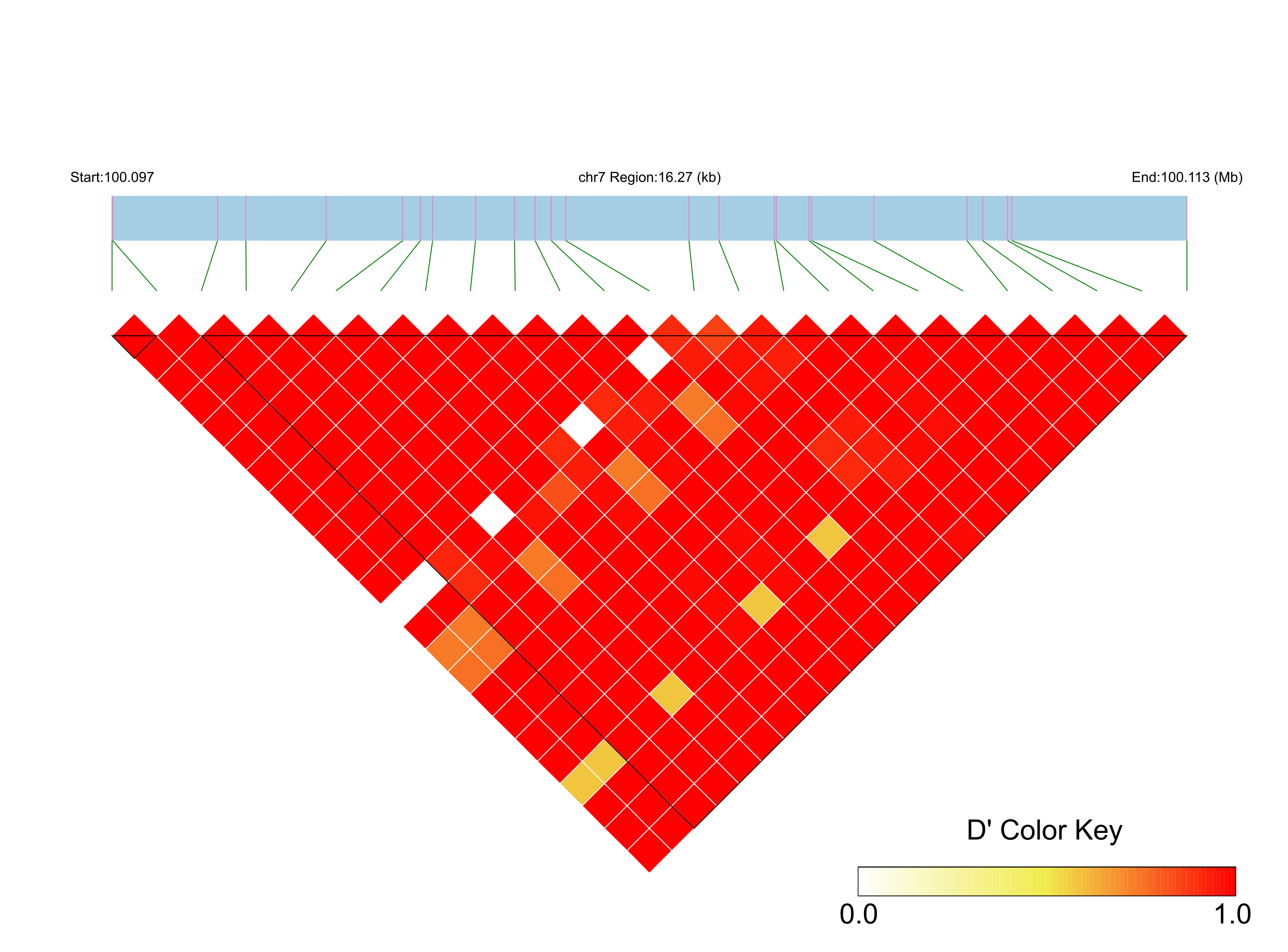 LD