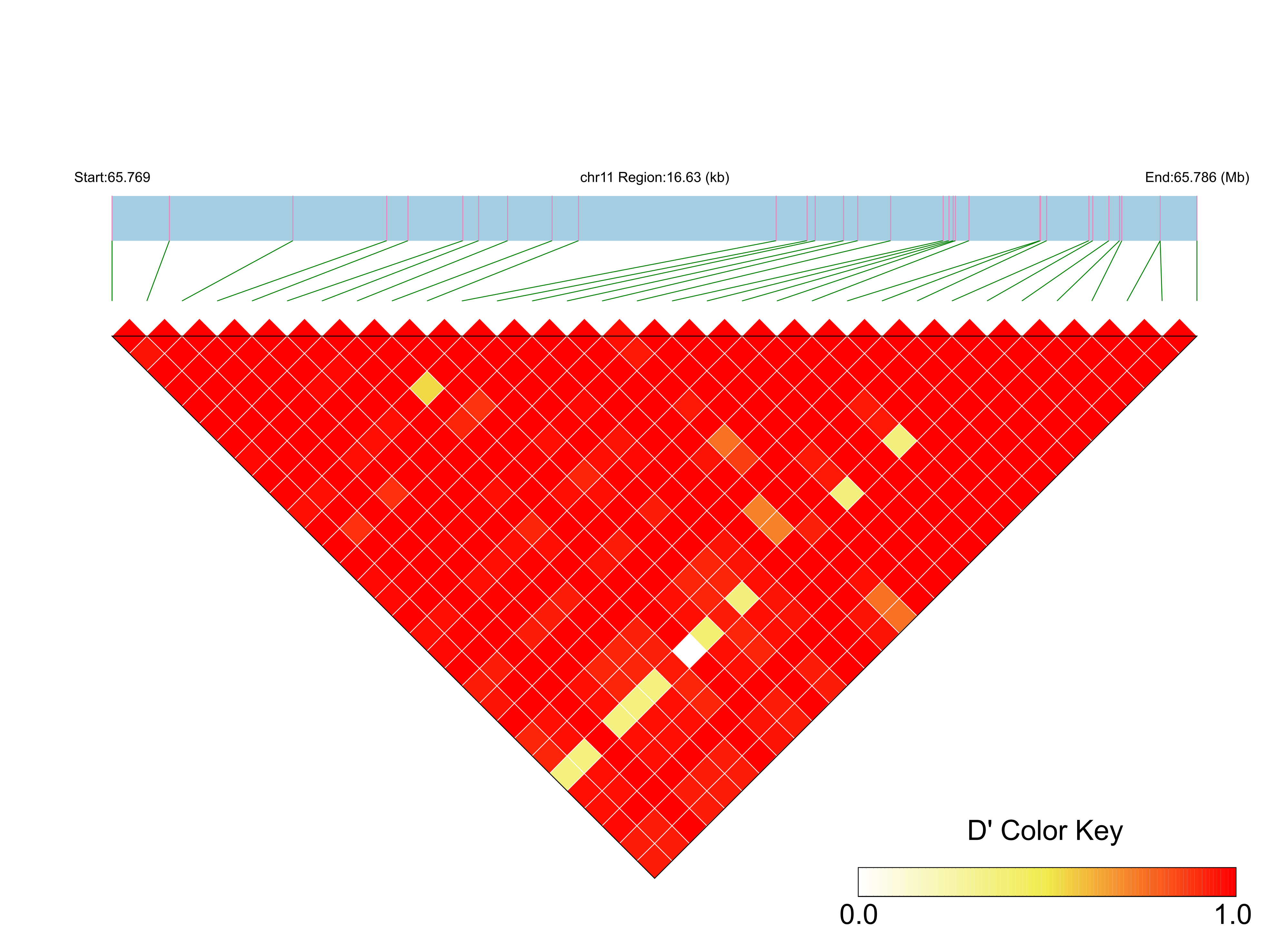 LD