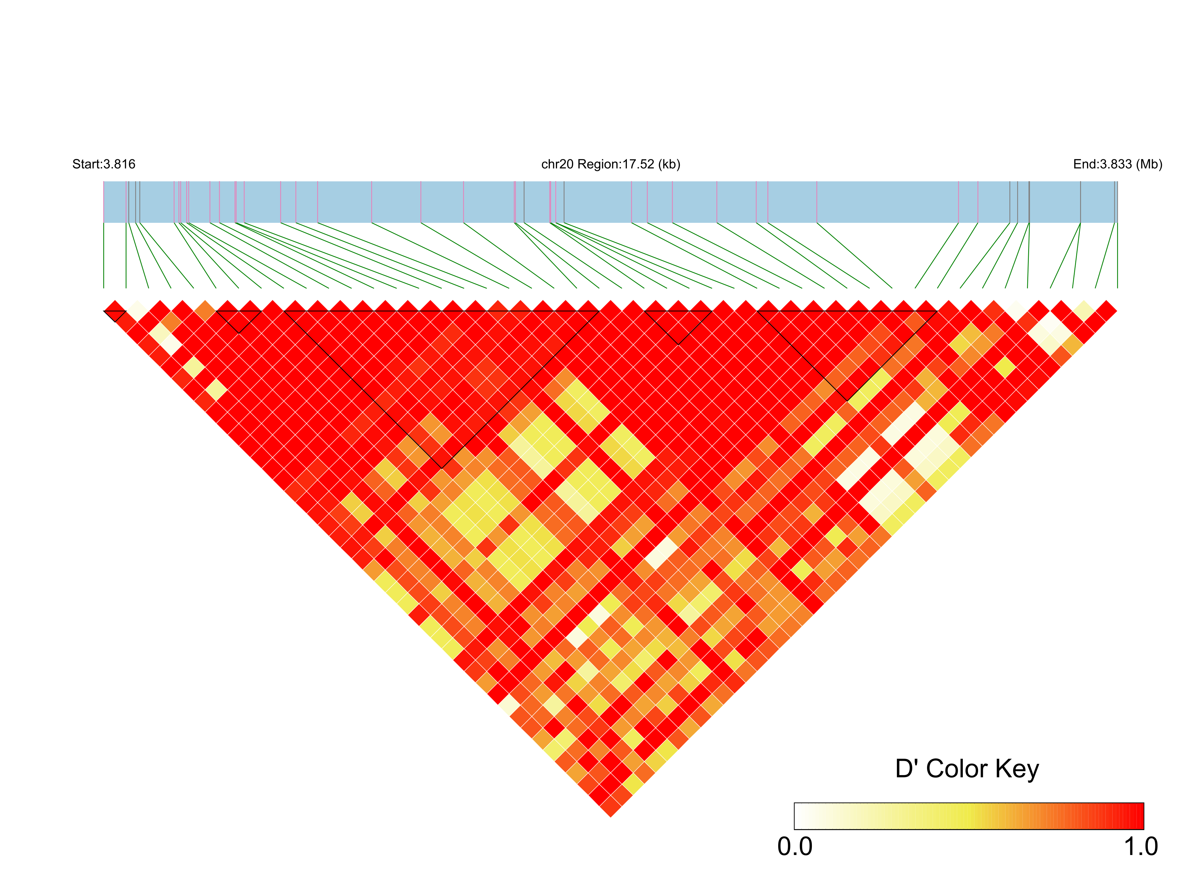 LD